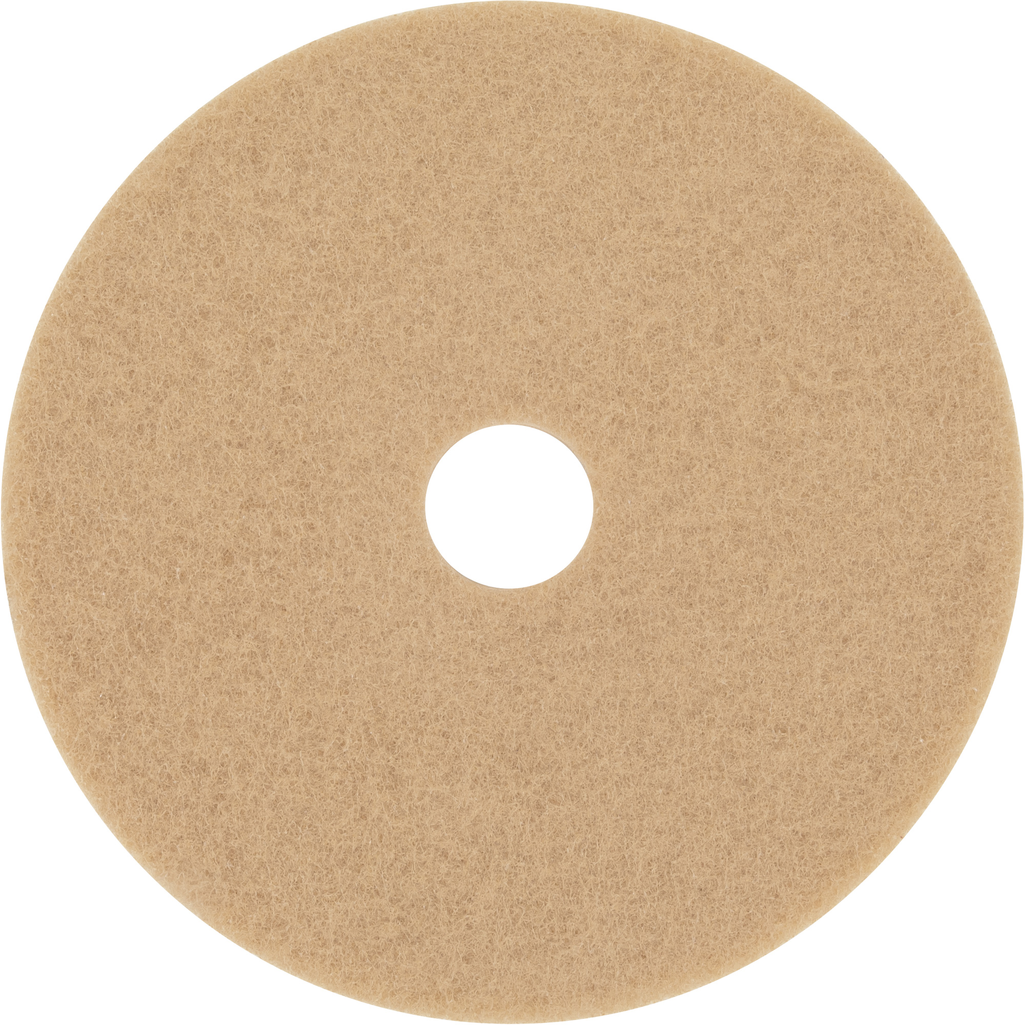 Bande abrasive TrizactMC Diamond TZ, 20", Brunissage, Beige
