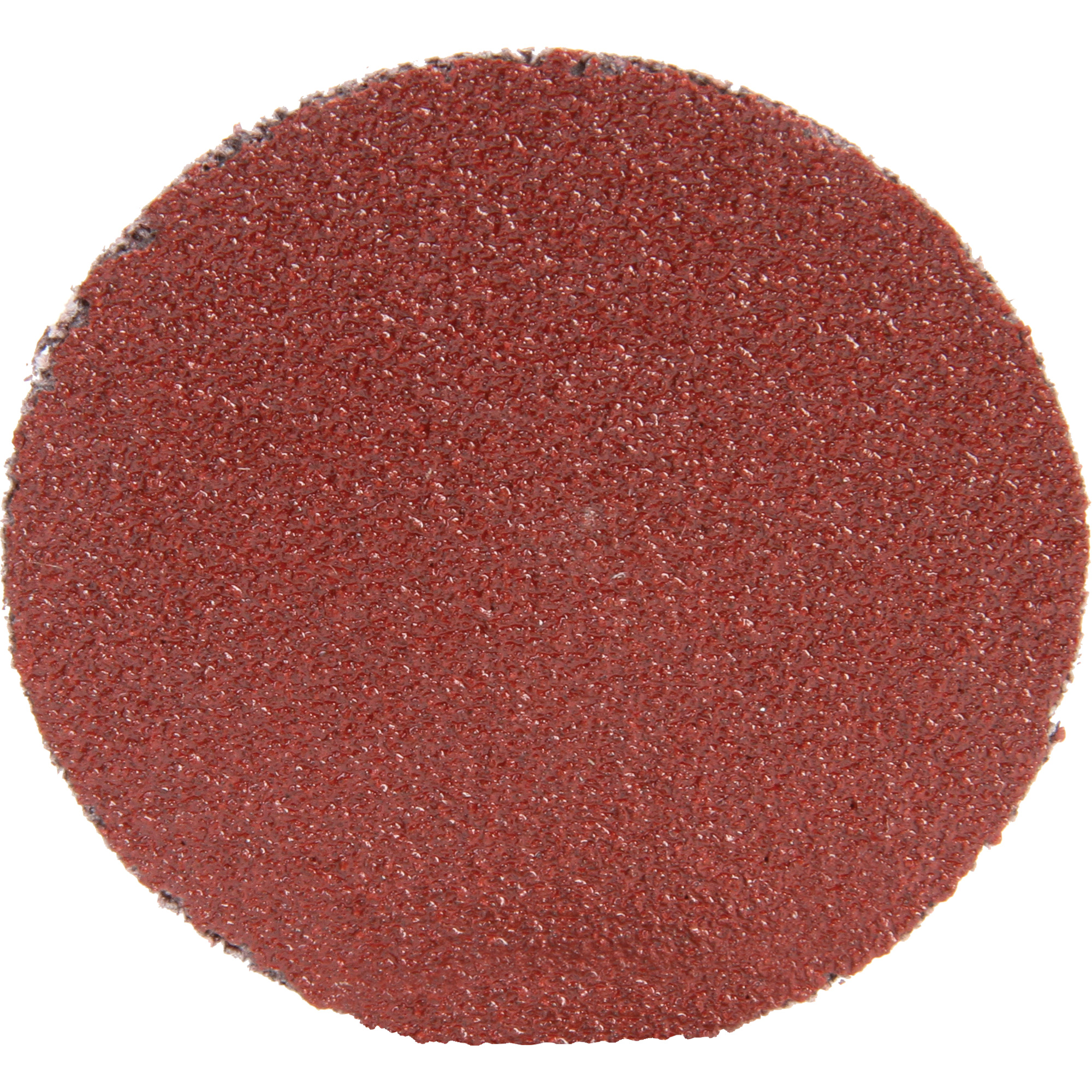 Disque 361F RolocMC, 1-1/2" dia., Grain P100, Oxyde d'aluminium