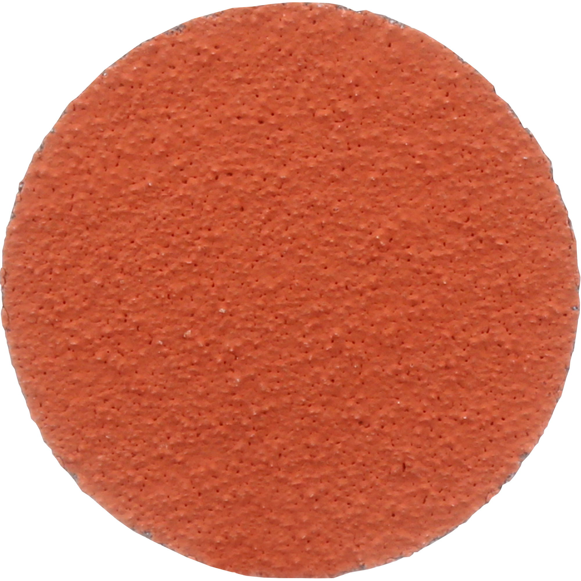 Disque 777F RolocMC, 2" dia., Grain 36, Oxyde d'aluminium/Céramique