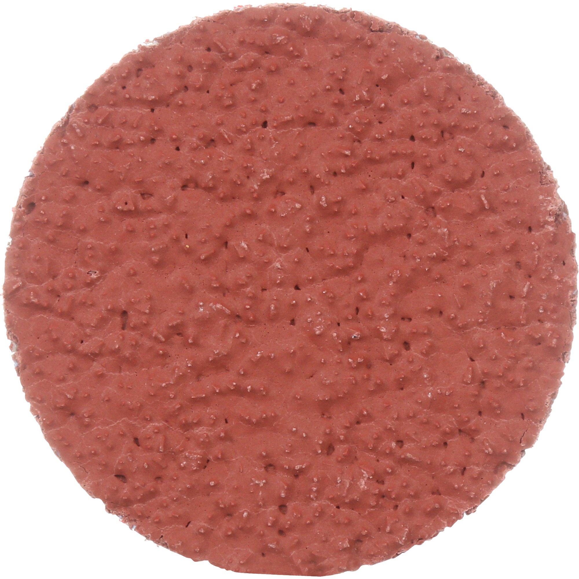 Disque à déligner durable II RolocMC CubitronMC, 2" dia., Grain 36+, Céramique