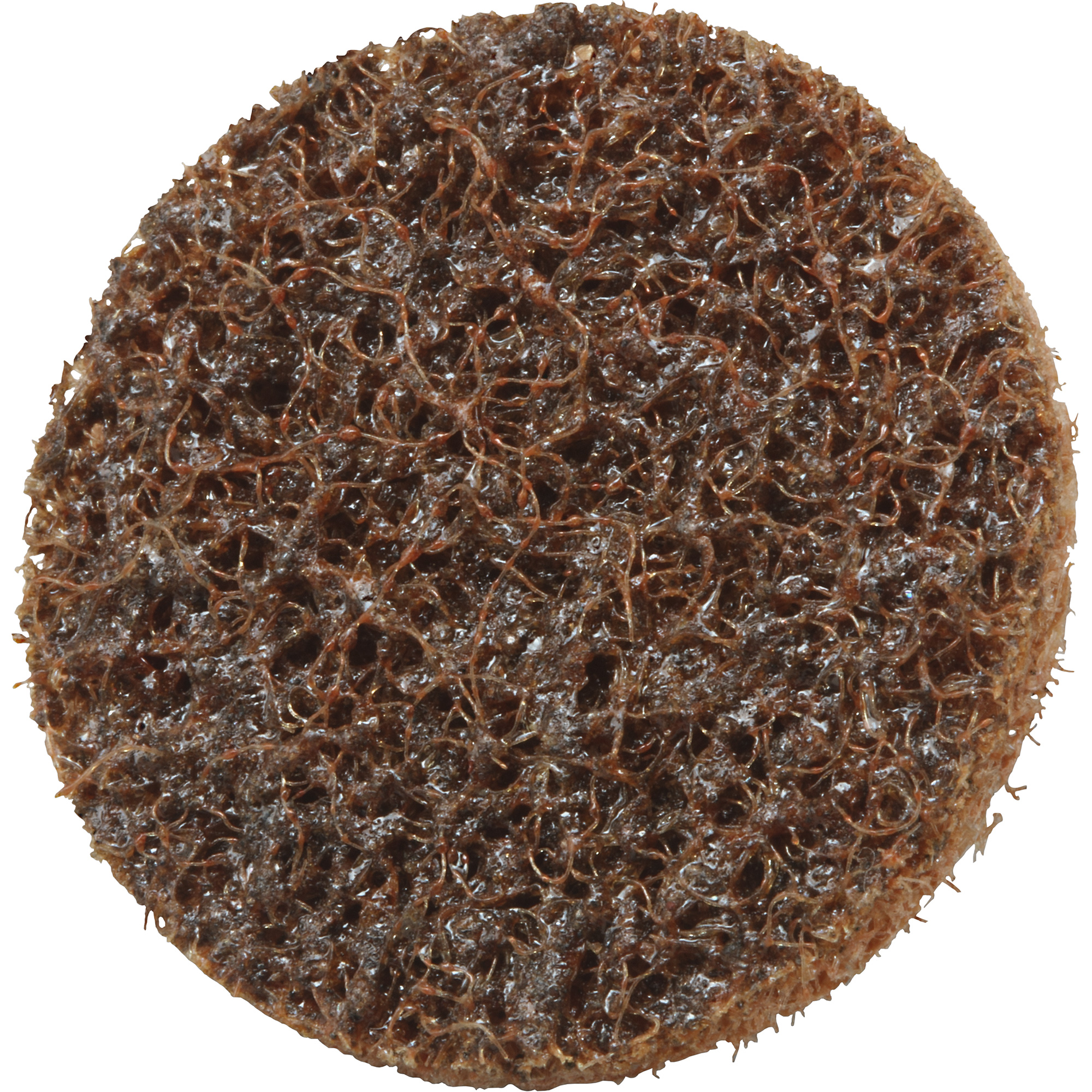 Disque de conditionnement de surface RolocMC Scotch-BriteMC, 1-1/2" dia., Grain Corsé, Oxyde d'aluminium
