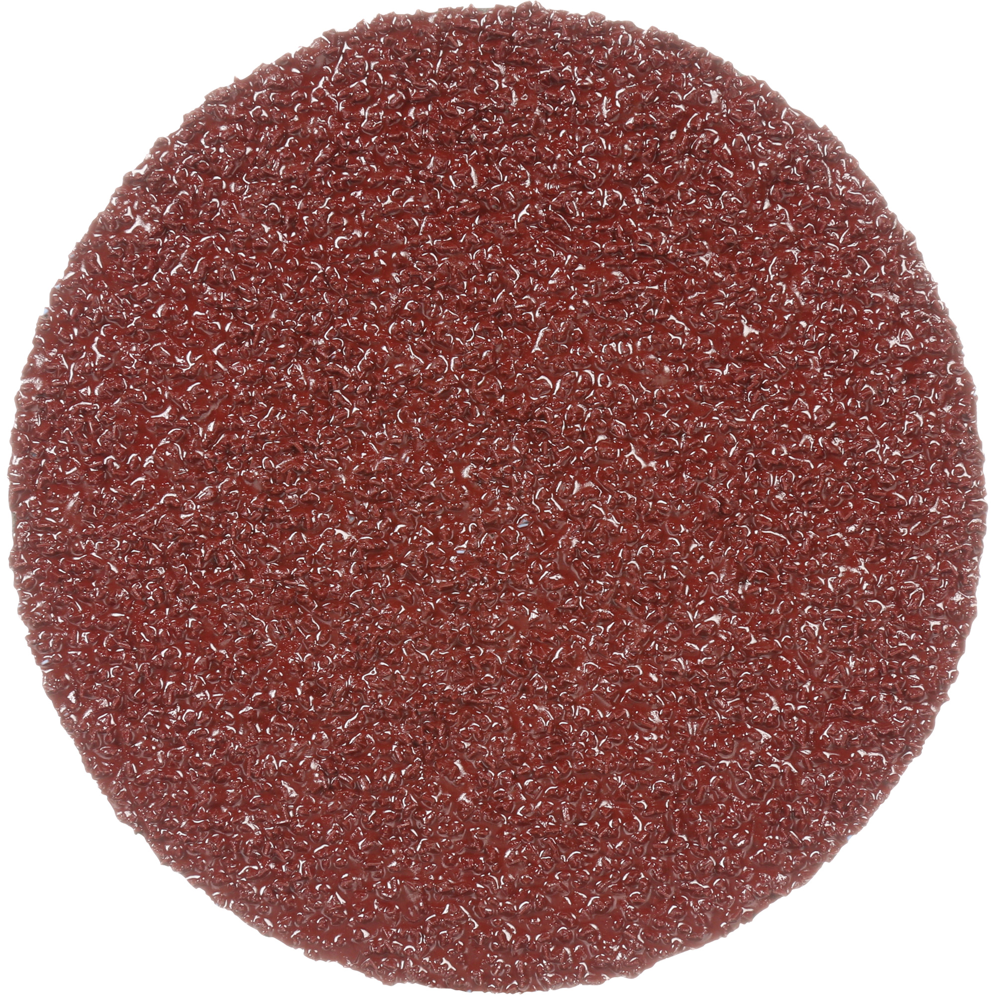 Disque en fibre 982C CubitronMC II RolocMC, 3" dia., Grain 36+, Céramique