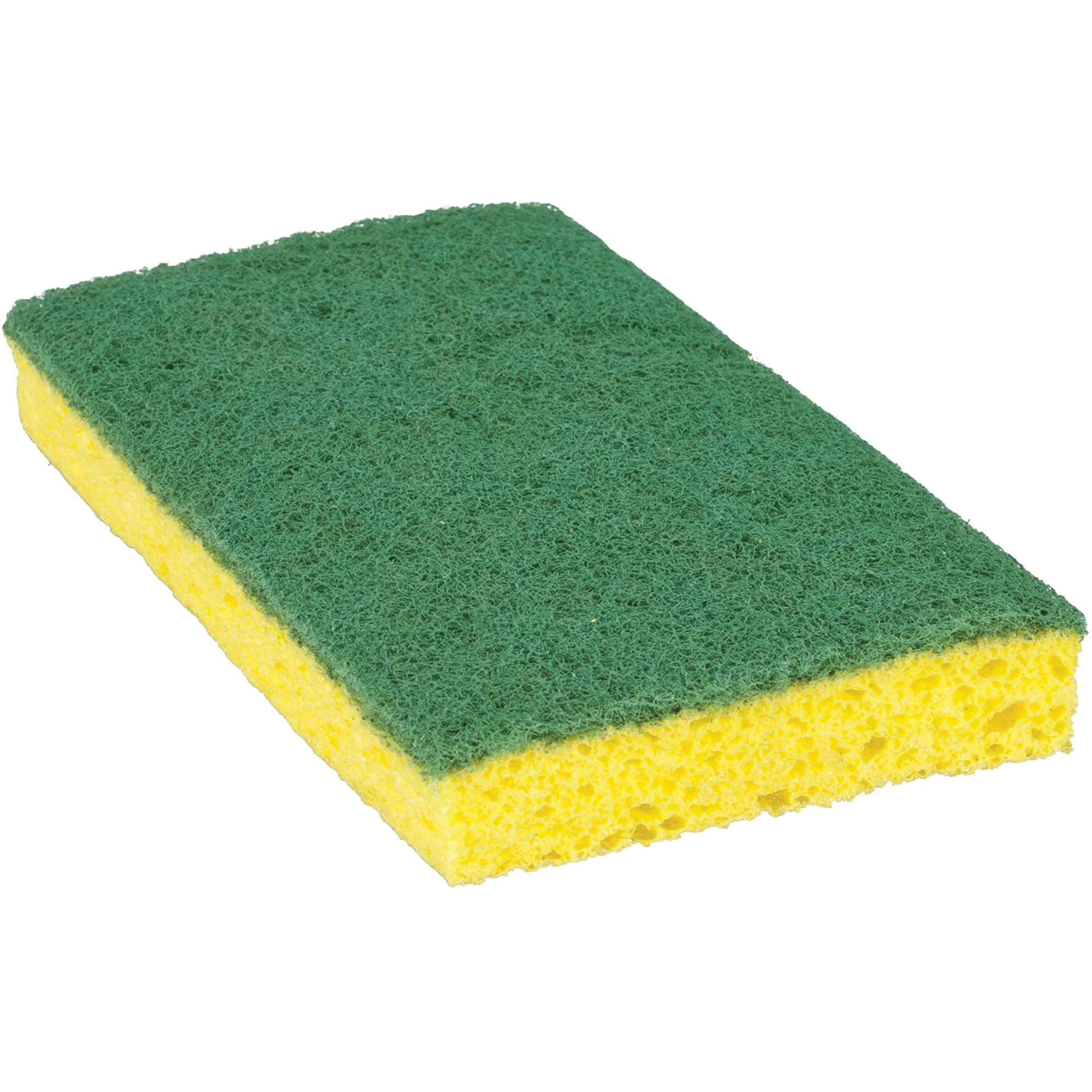 Éponge à récurer pour travaux moyens Scotch-BriteMC, À récurer, 3-3/5" la x 6-1/10" l