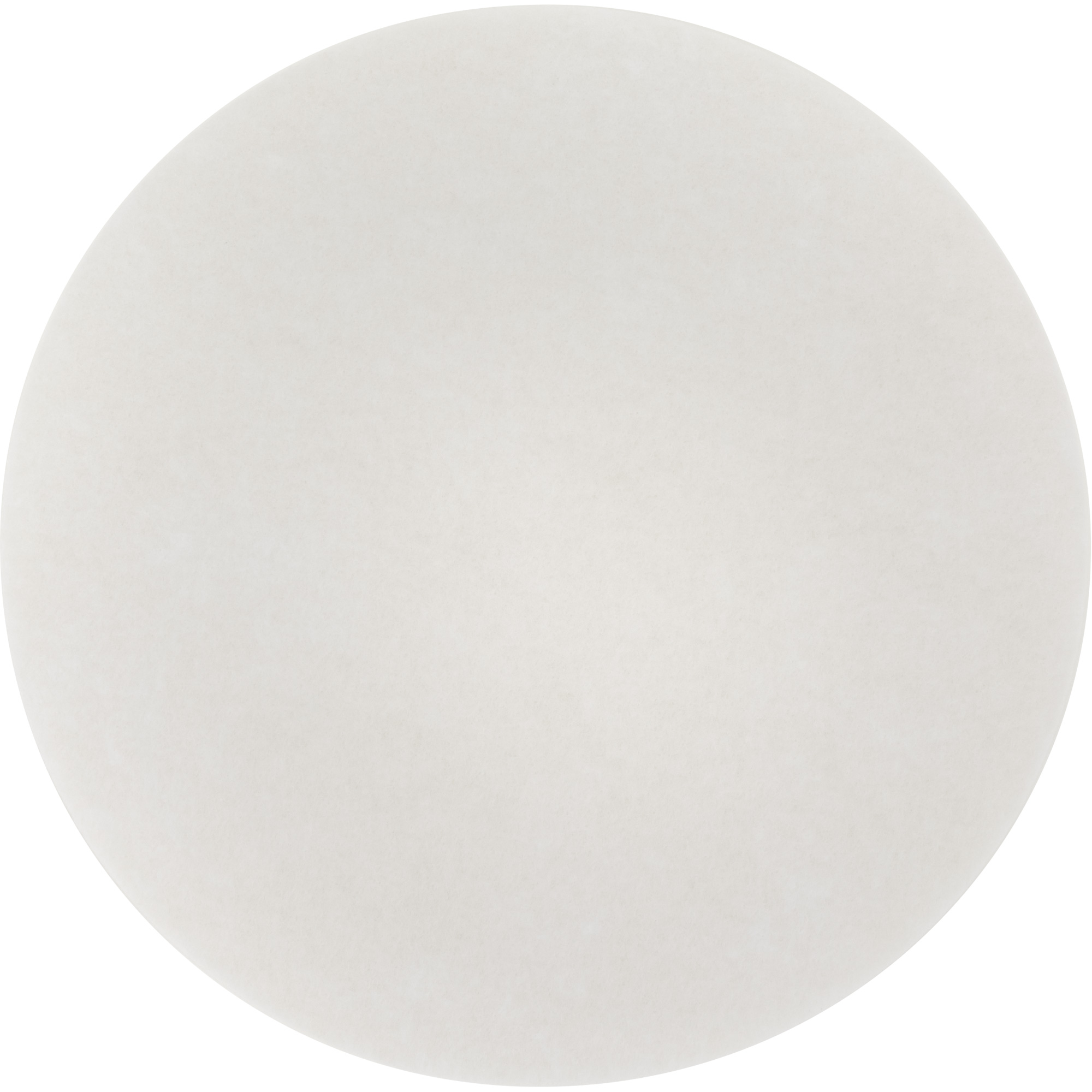 Tampon de nettoyage pour tapis, 19", Nettoyage, Blanc