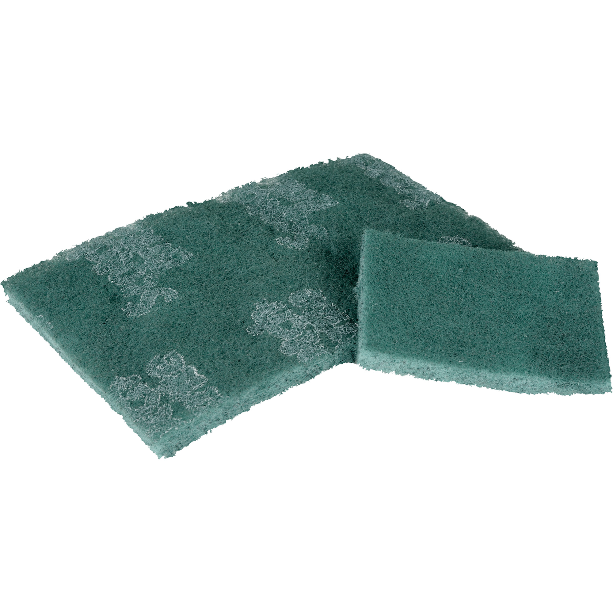 Tampon de récurage, 3" lo x 4-1/2" la
