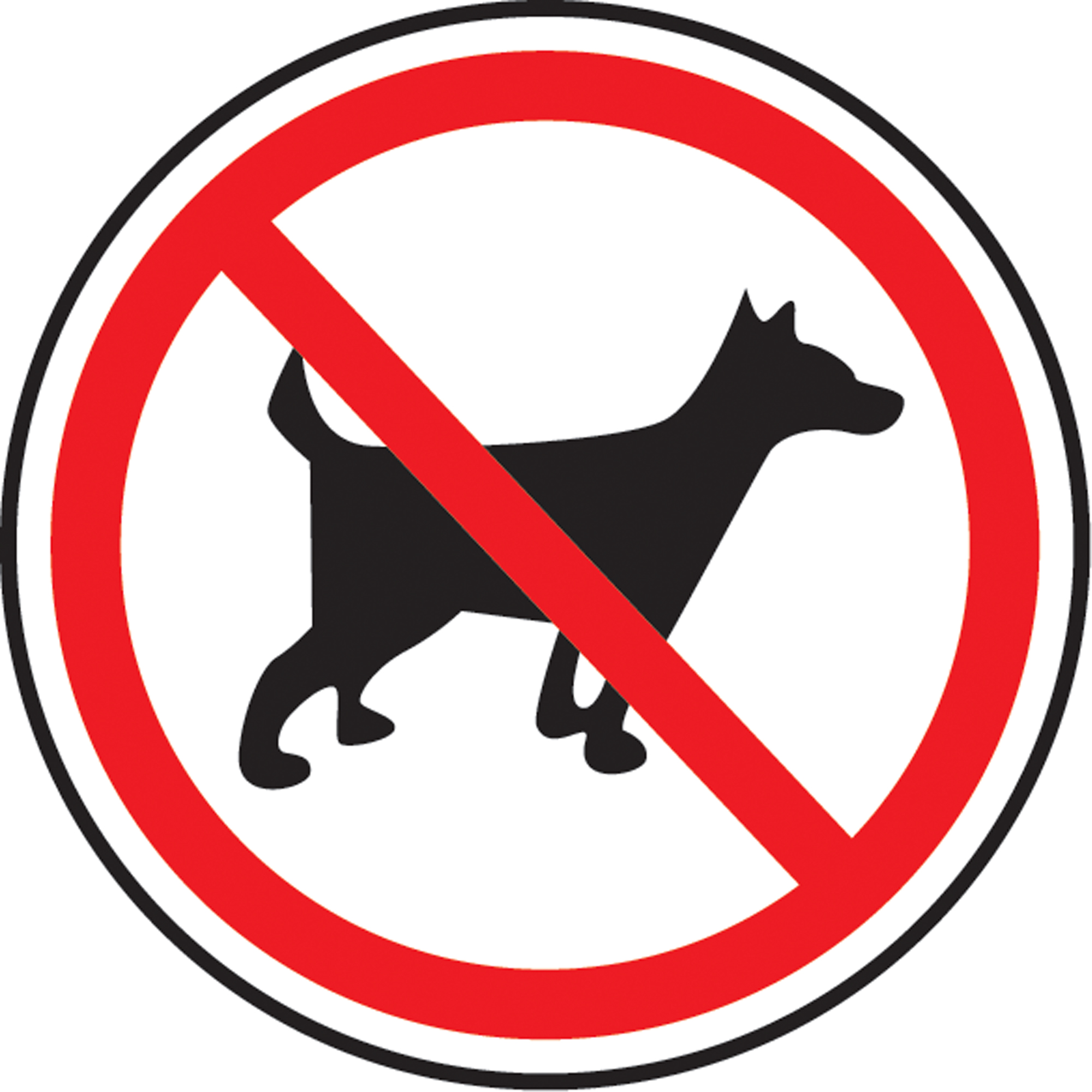 Enseigne de sécurité conforme à la CSA - No Pets, 6" x 6", Plastique, Pictogramme