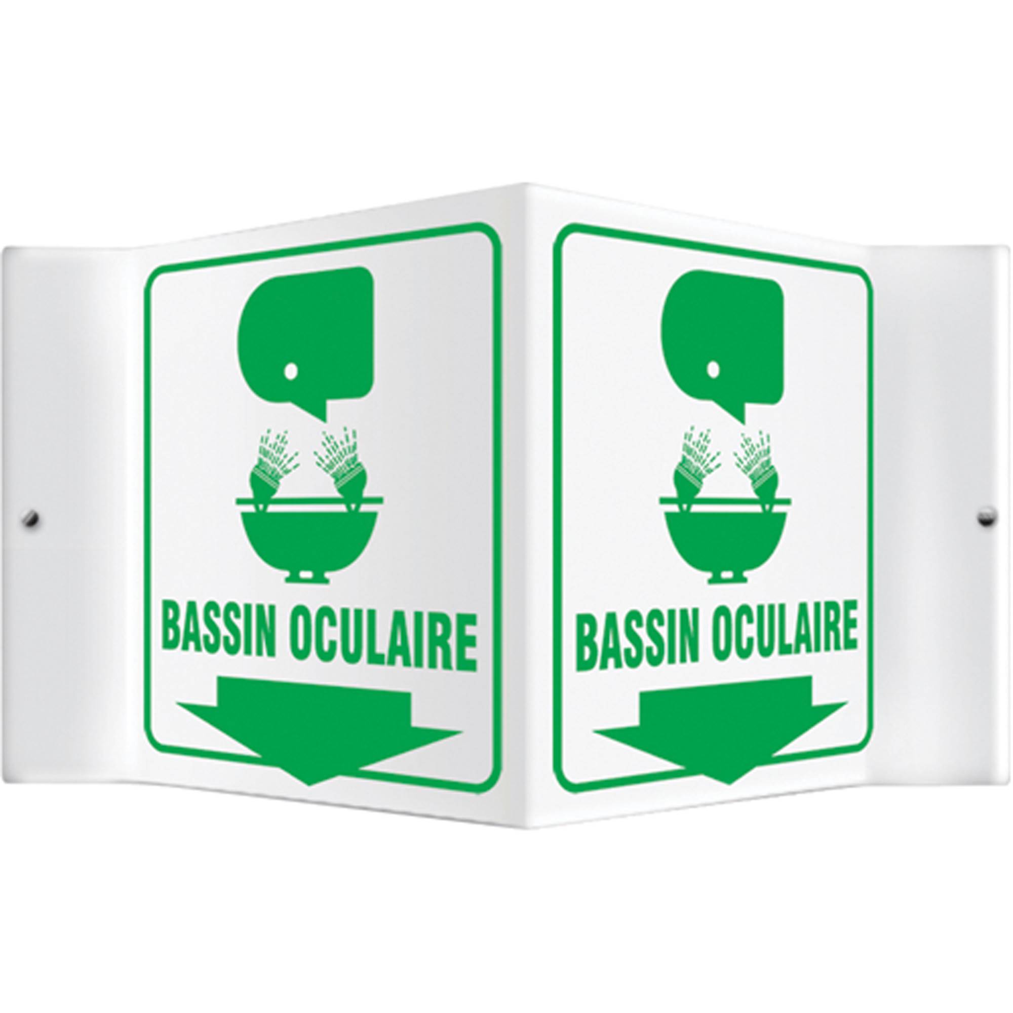 Enseigne ProjectionMC « Bassin Oculaire », 6" x 8-1/2", Plastique, Français avec pictogramme