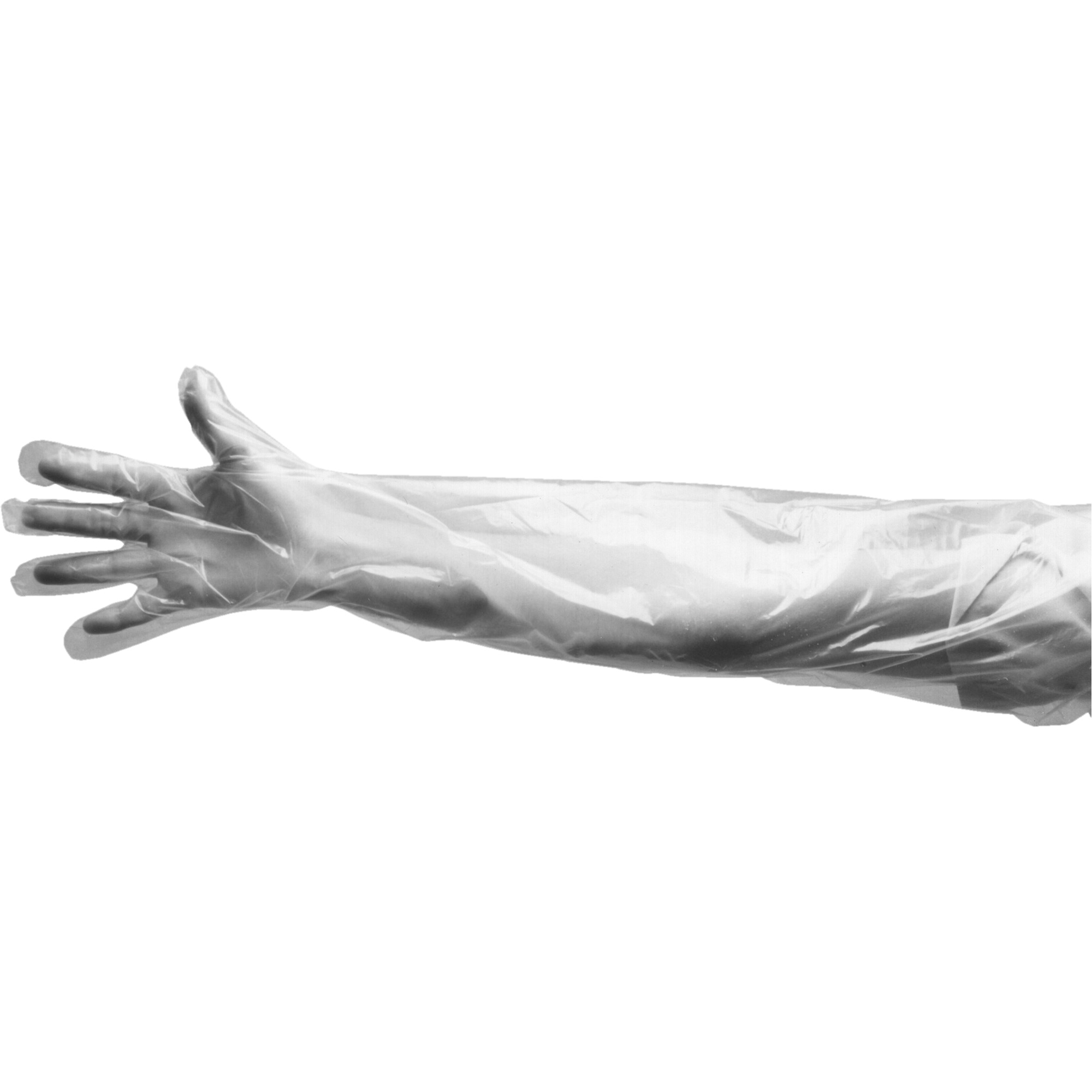 Gants jetables, Grand, Polyéthylène, 9 mils, Poudrés, Transparent