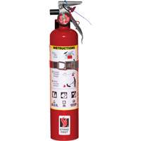 Extincteurs d'incendie