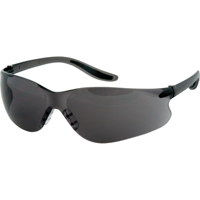 Lunettes de sécurité & accessoires