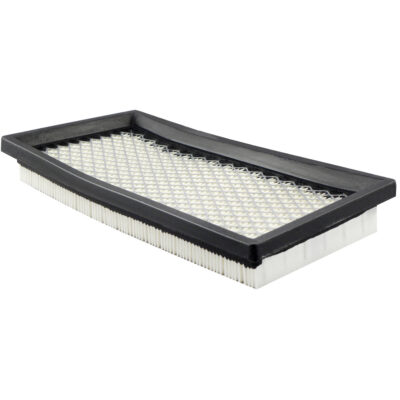 PA2138 Élément de filtre à air