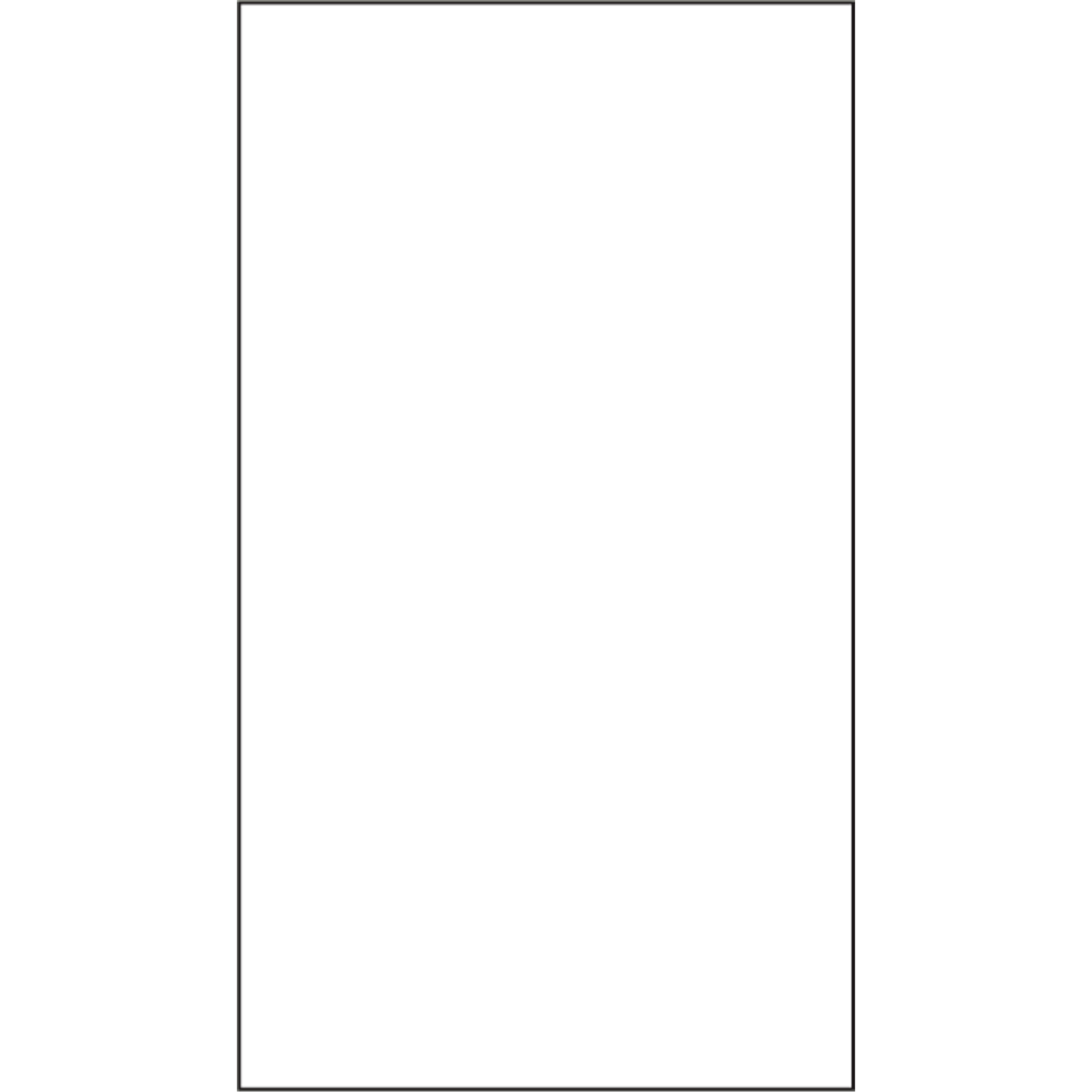 Pochettes pour bordereau d'expédition, 3-3/4" lo x 7" la, Style Informatique