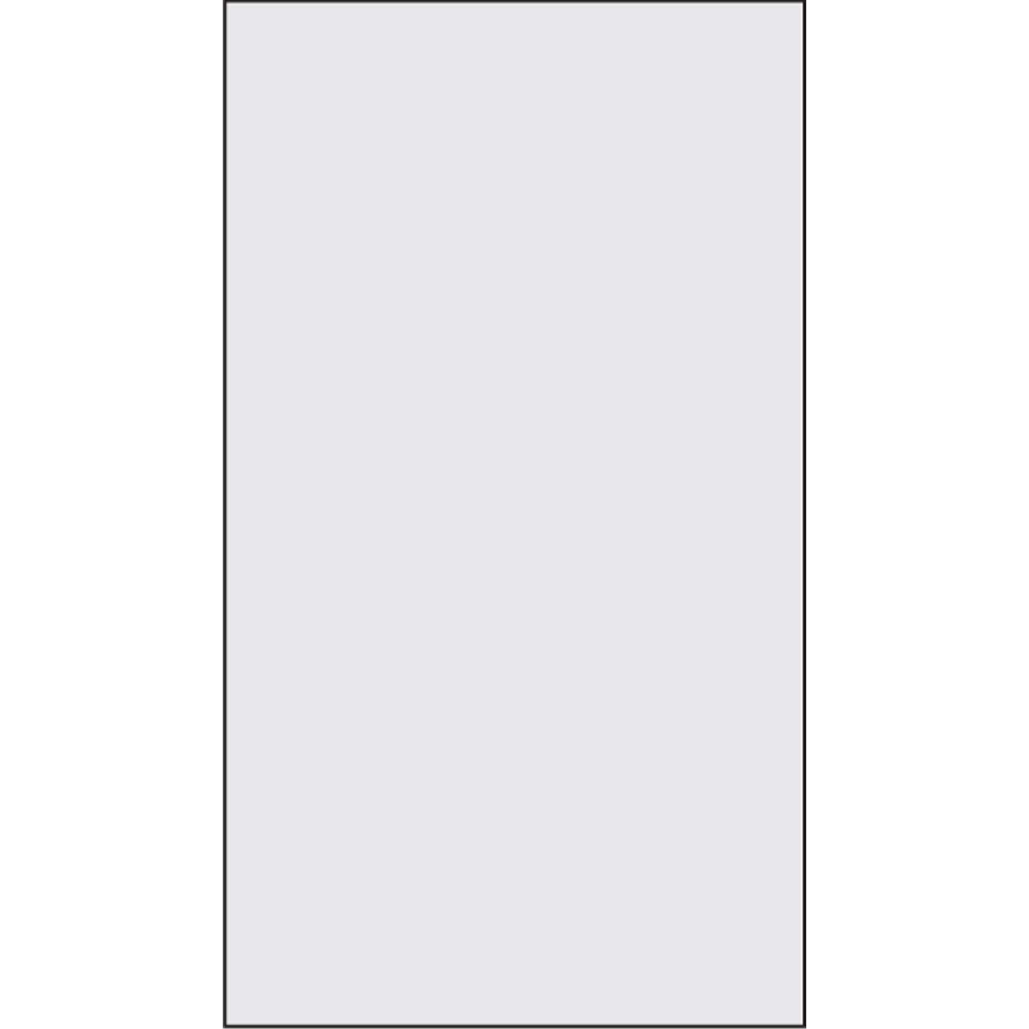 Pochettes pour bordereau d'expédition, 3-3/4" lo x 7" la, Style Informatique
