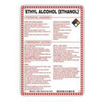 Enseigne «Ethyl Alcohol (Ethanol) Potential Hazards», 10" x 7", Fibre de verre, Anglais avec pictogramme