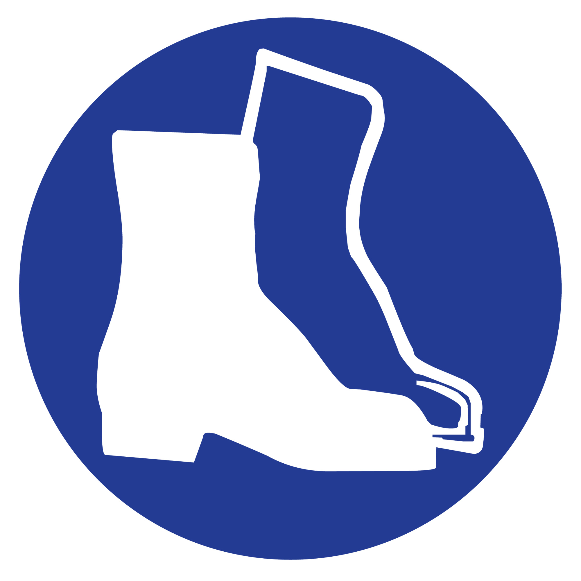 Étiquettes avec pictogramme Right to Know - Bottes, Vinyle, Feuille, 1" lo x 1-1/8" la