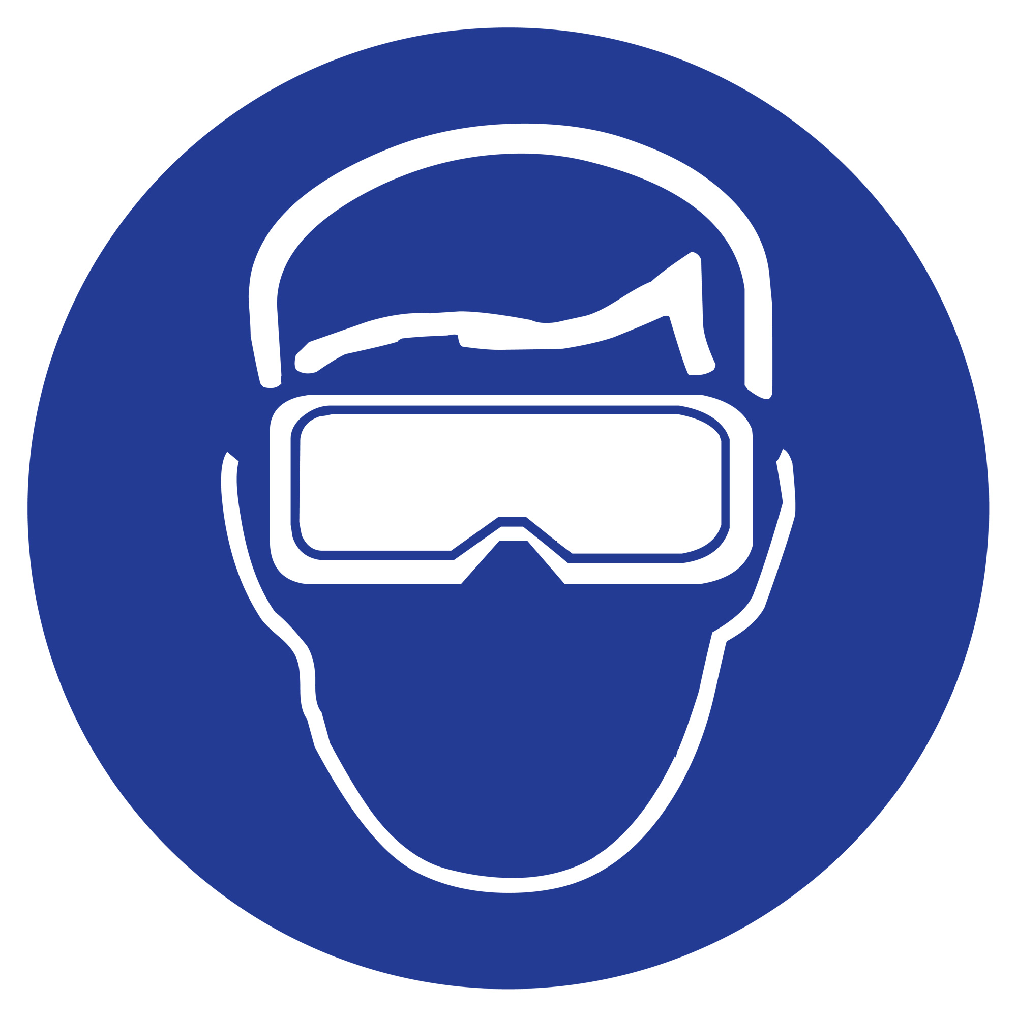 Étiquettes avec pictogramme Right to Know - Lunettes à coques, Vinyle, Feuille, 1-1/4" lo x 1-1/2" la