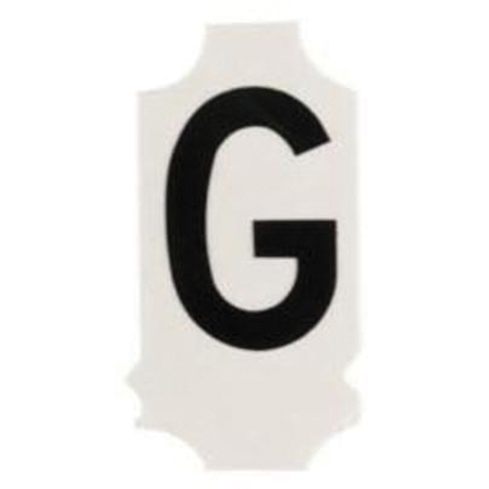 Étiquettes de lettres et chiffres gothiques individuels Quick-AlignMD, G, 1" h, Noir