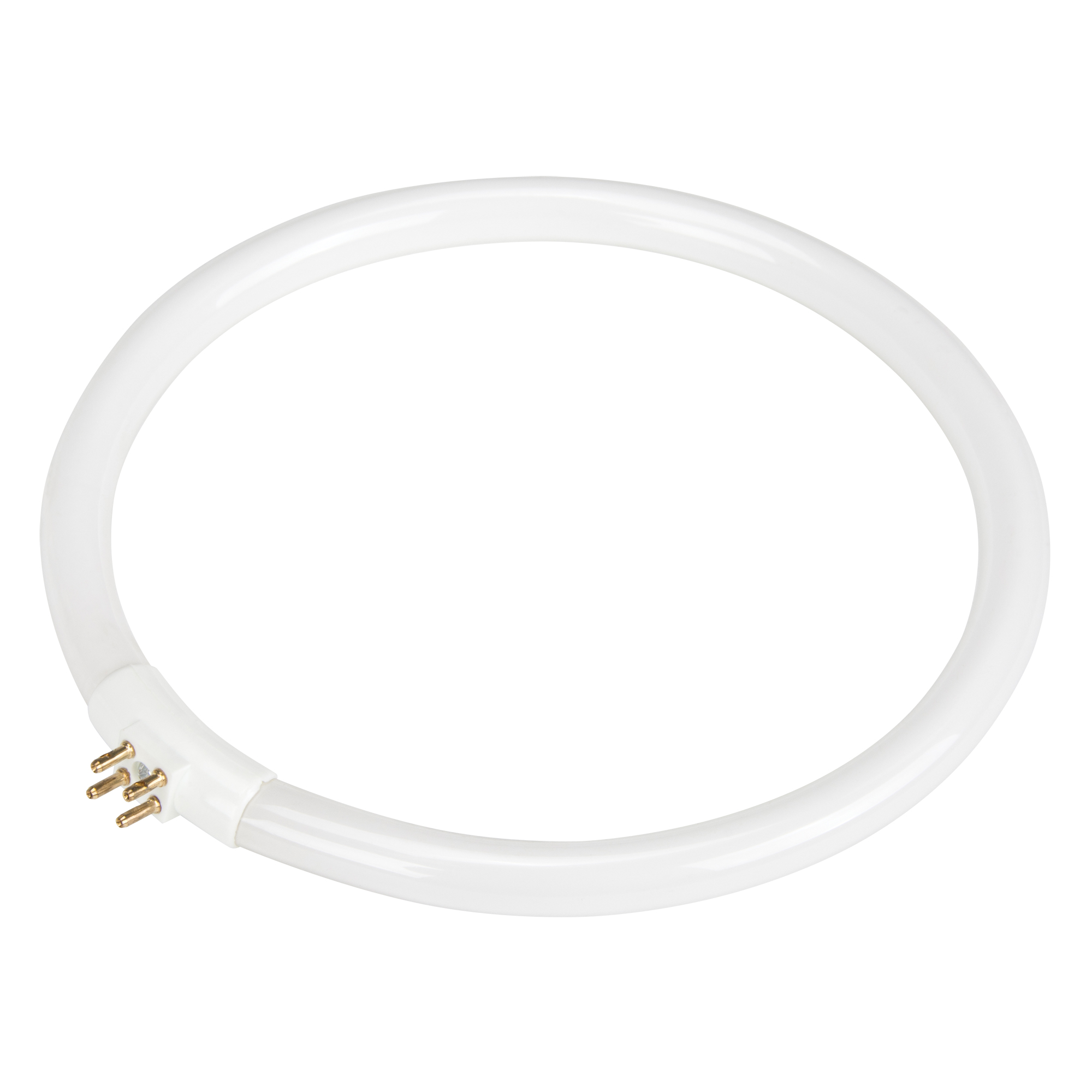 Ampoule fluorescente de rechange pour lampes-loupes Rhinomag, 22 W