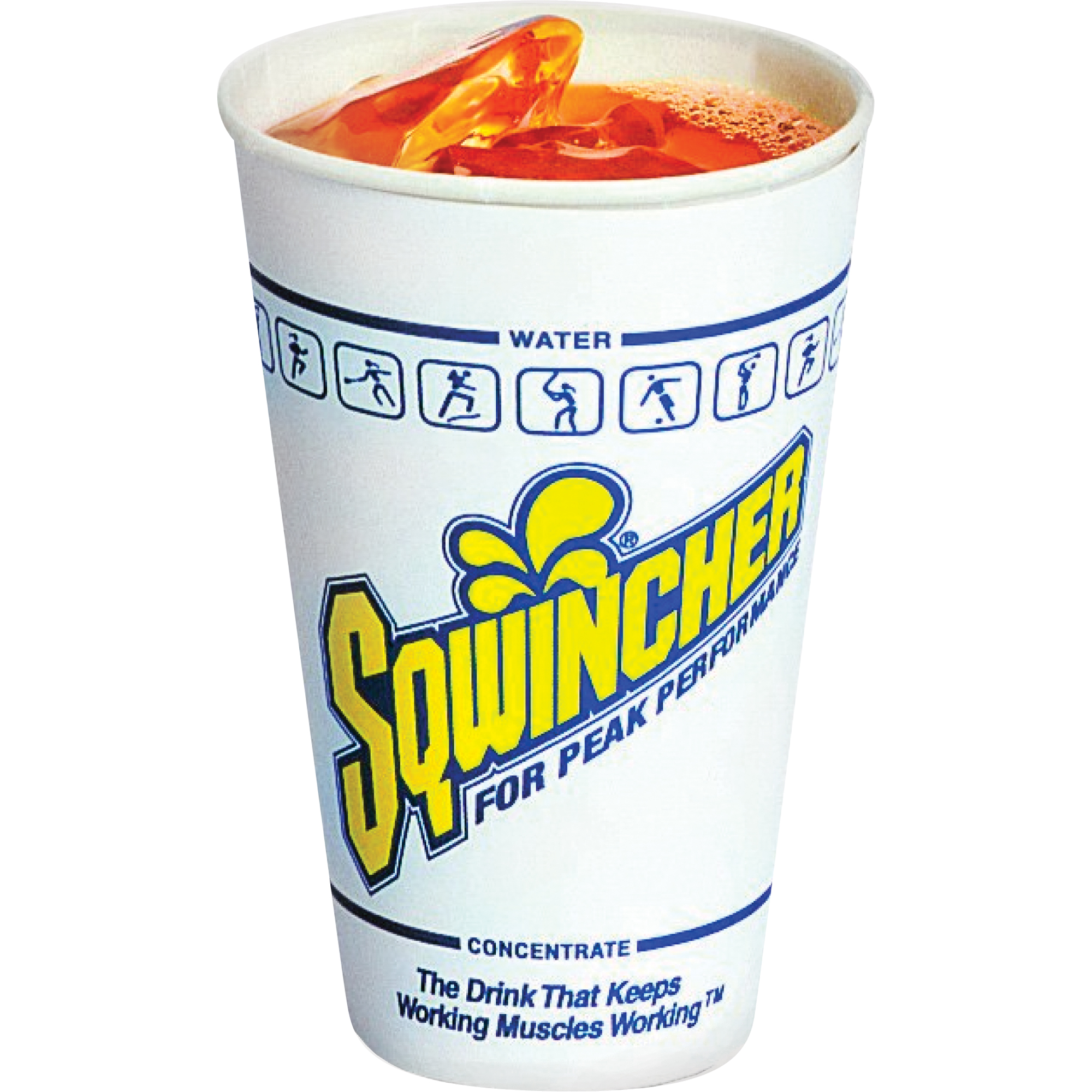 SqwincherMD Gobelets