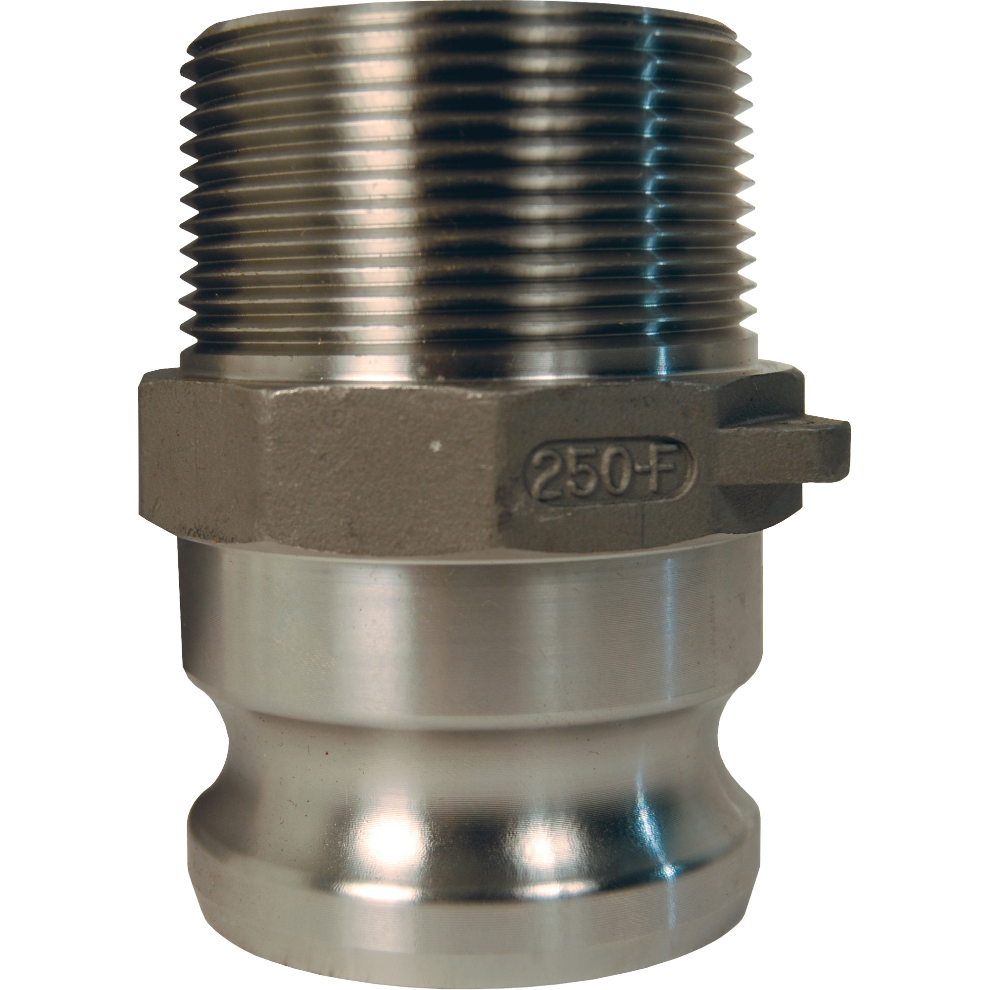 Adaptateur à came et cannelure Global, Acier inoxydable, Type F, 1-1/2", NPT mâle, 250 PSI