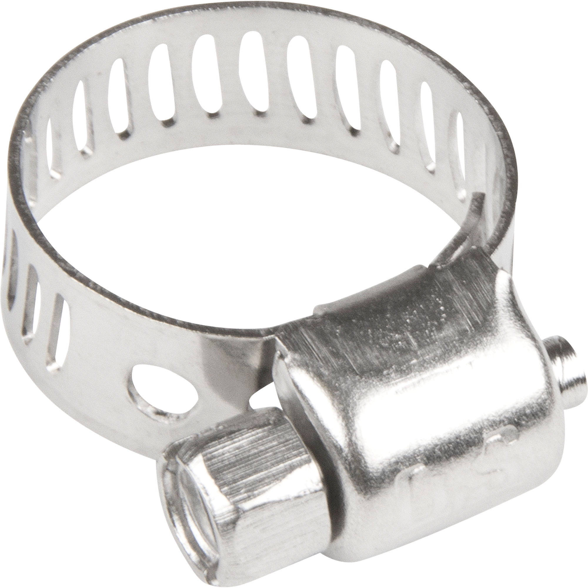 Colliers de serrage pour tuyaux - Collier de serrage & vis en acier inoxydable, Dia. min 1/5", Dia. max 5/8"