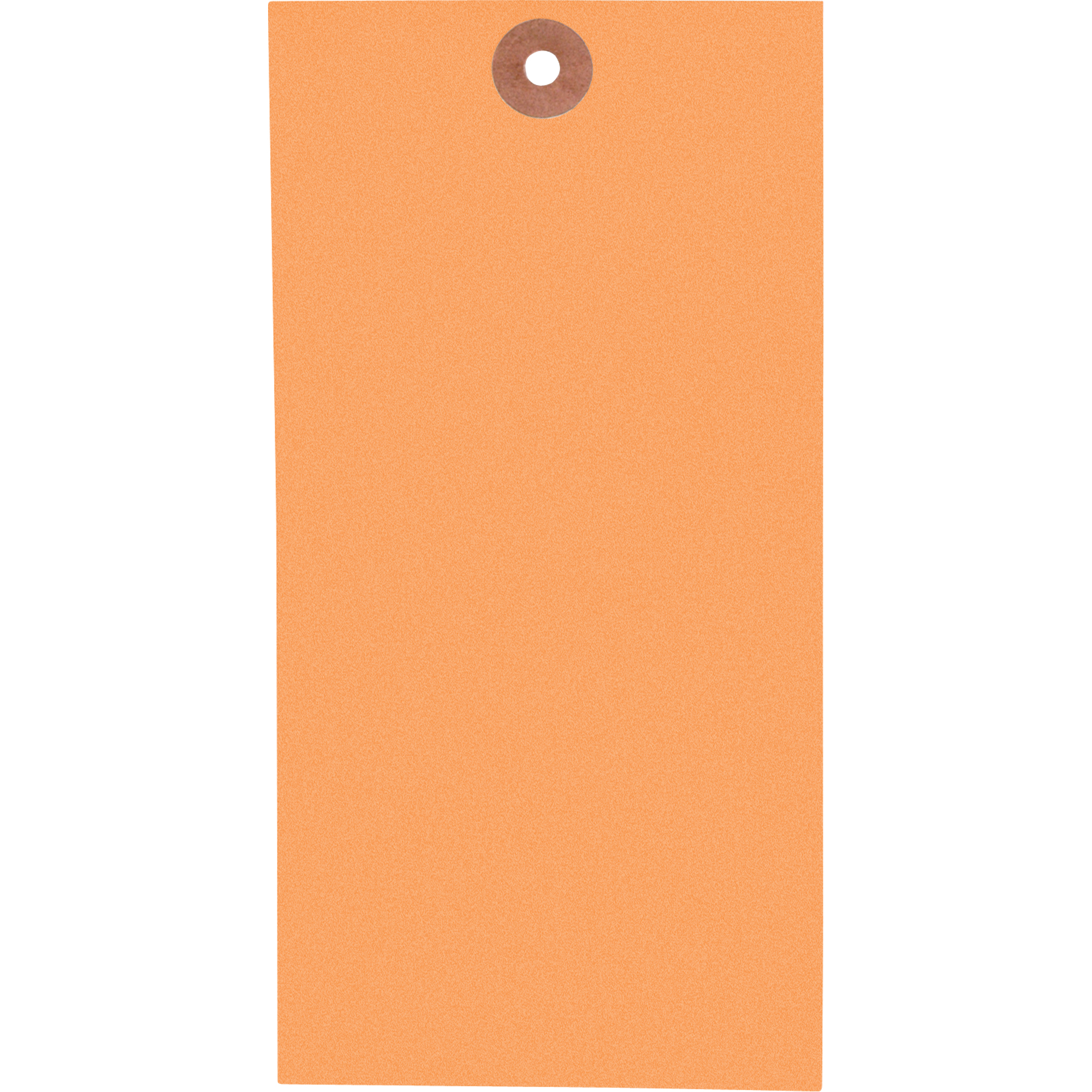 Étiquettes vierges de couleurs standards en papier cartonné, Tyvek, 3-1/8" la x 6-1/4" h