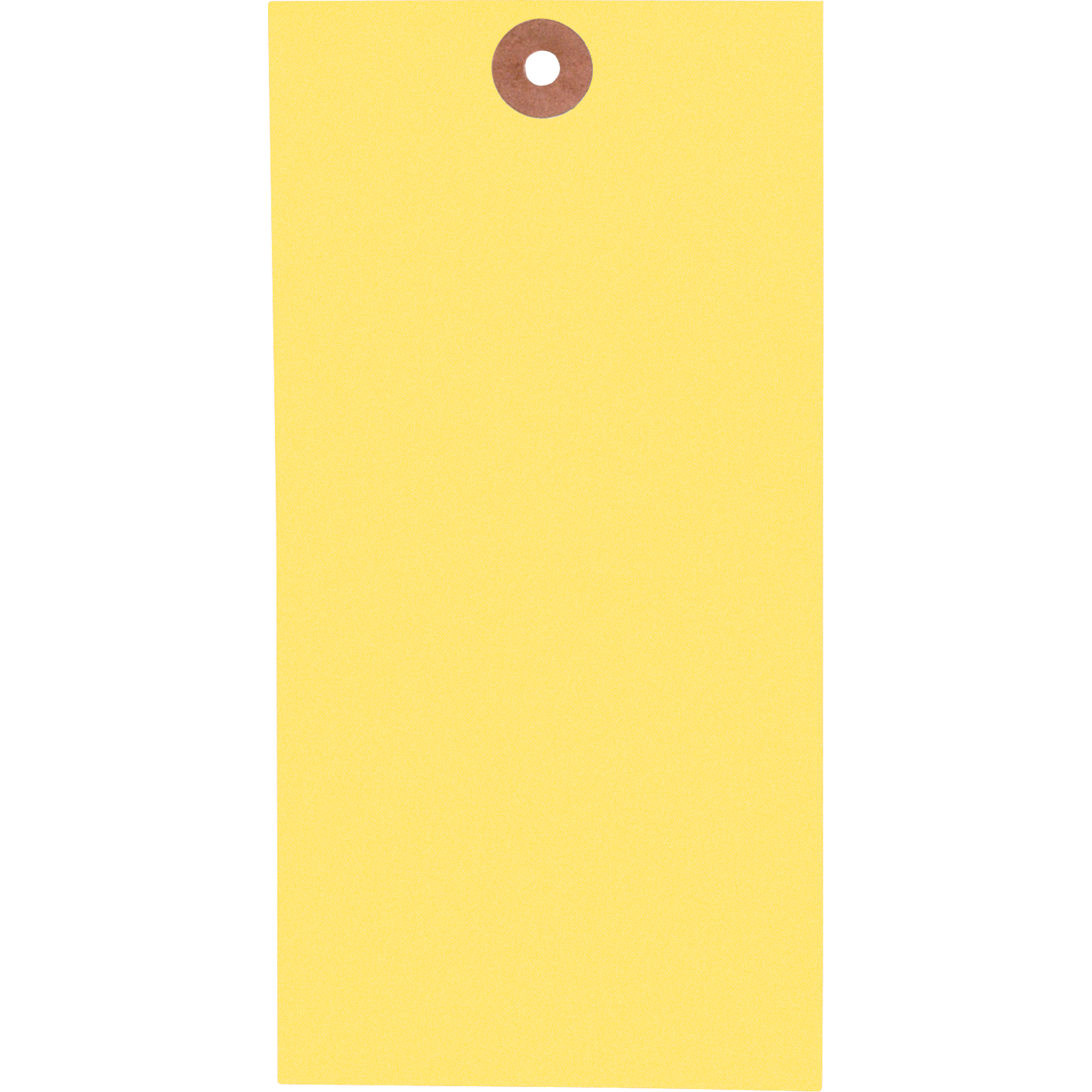 Étiquettes vierges, Tyvek, 3-1/8" la x 6-1/4" h