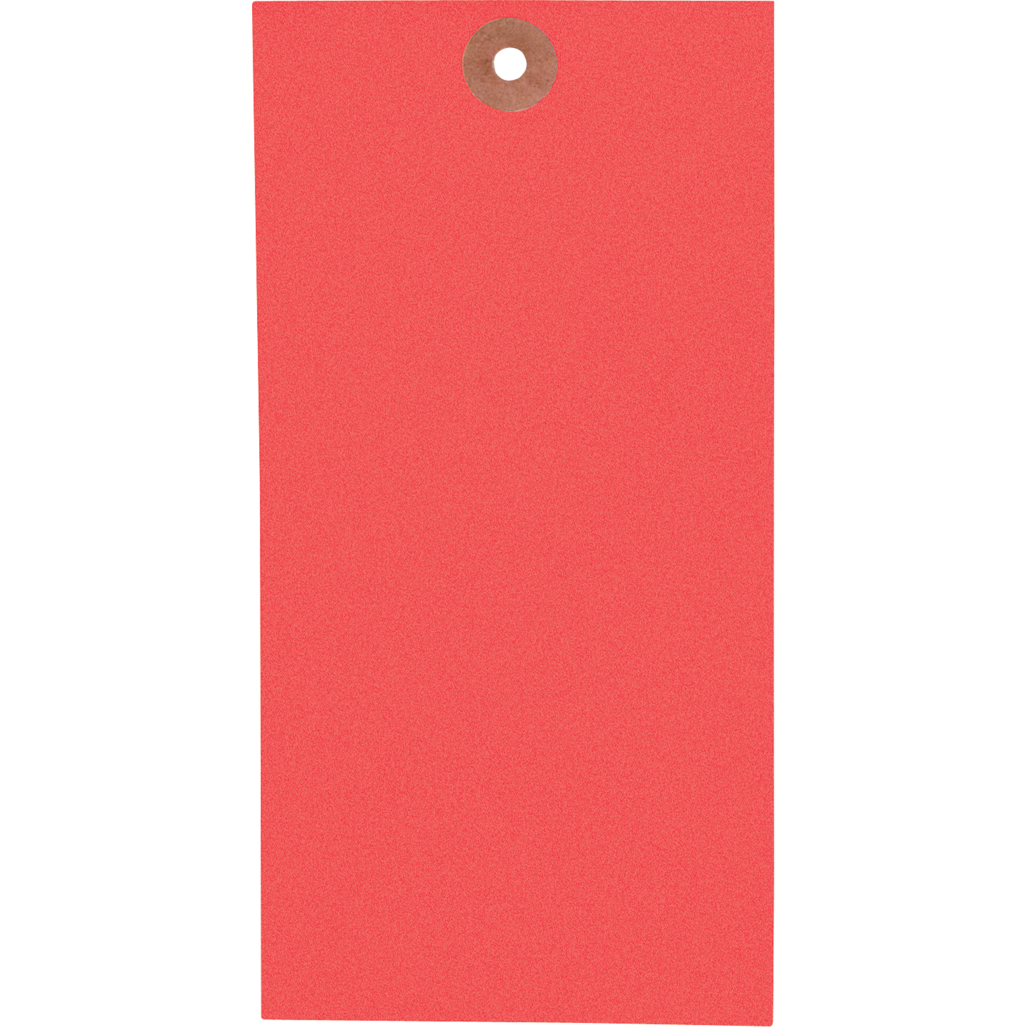 Étiquettes vierges, Tyvek, 3-1/8" la x 6-1/4" h