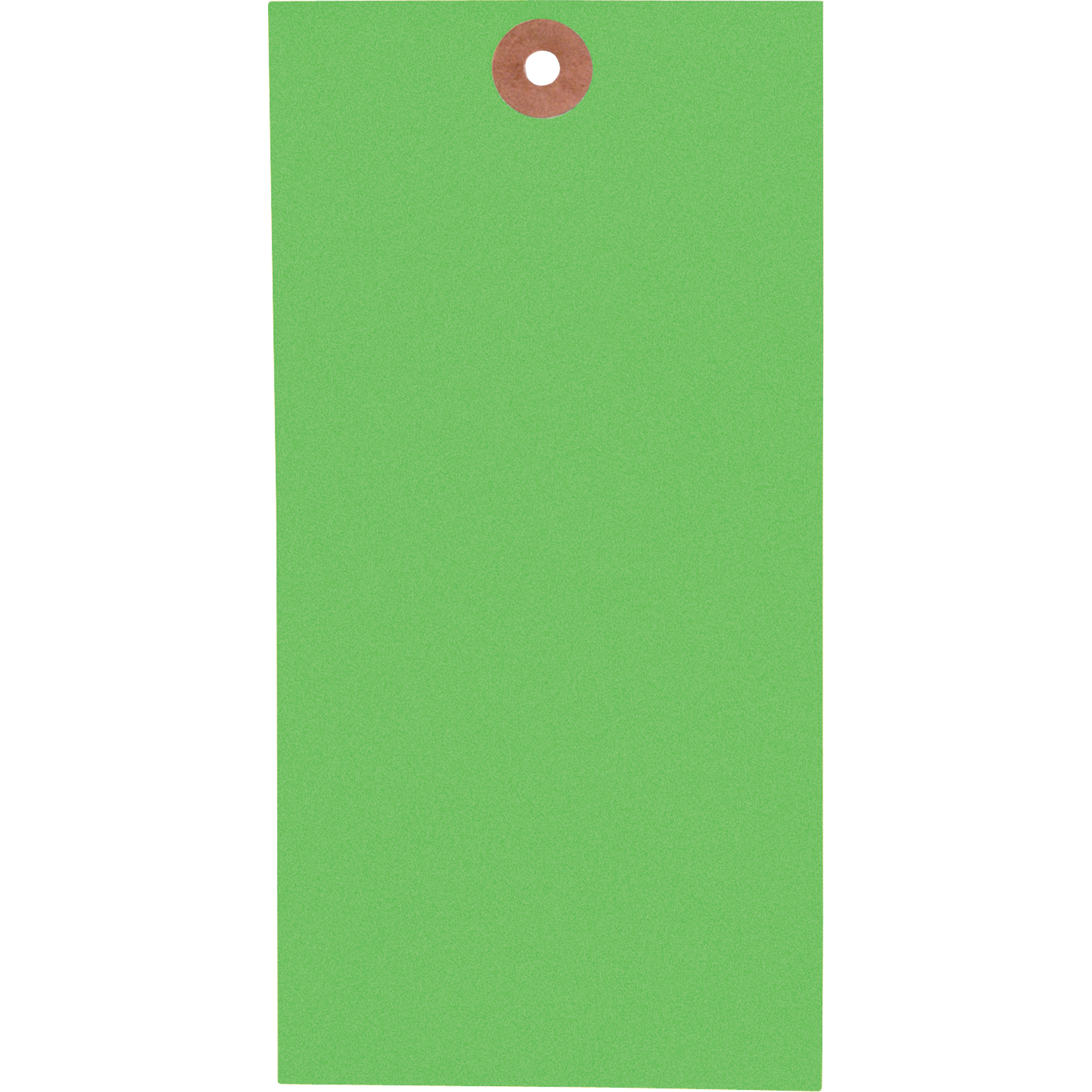 Étiquettes vierges, Tyvek, 3-1/8" la x 6-1/4" h