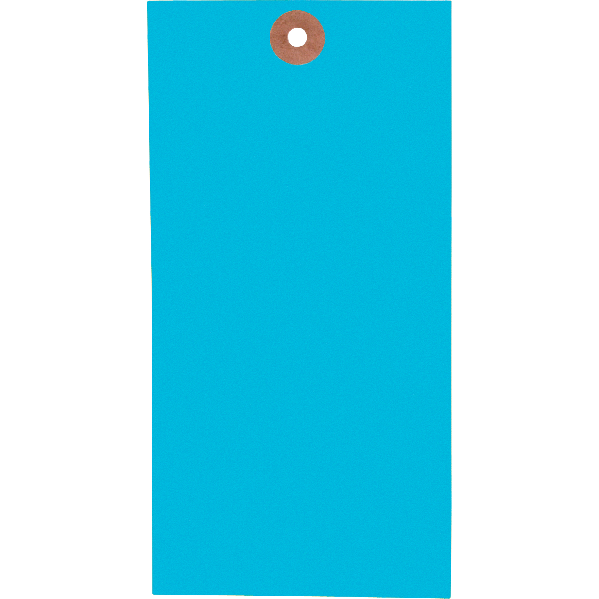 Étiquettes vierges, Tyvek, 3-1/8" la x 6-1/4" h