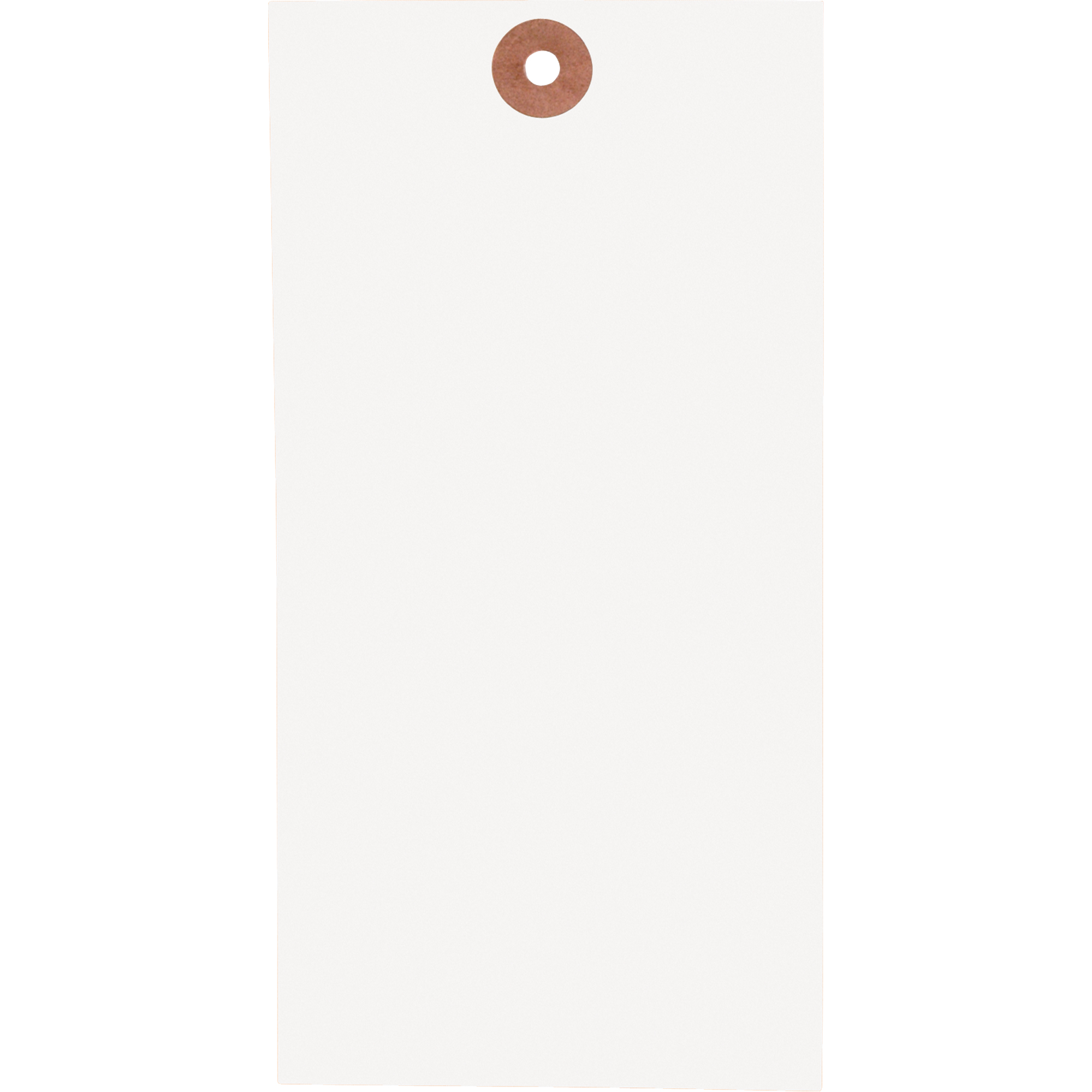 Étiquettes vierges, Tyvek, 2-3/8" la x 4-3/4" h