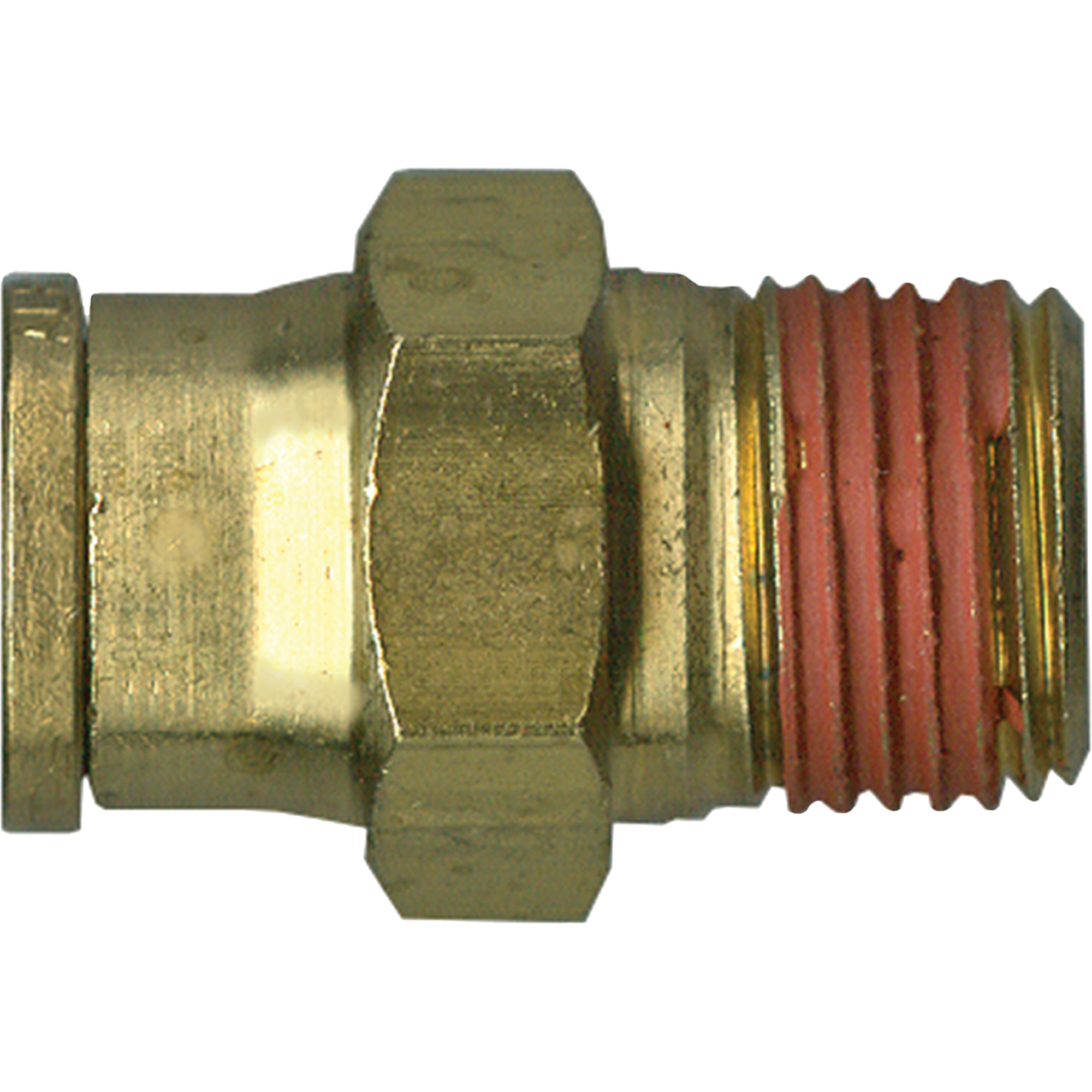 Connecteur de tube à tuyau mâle
