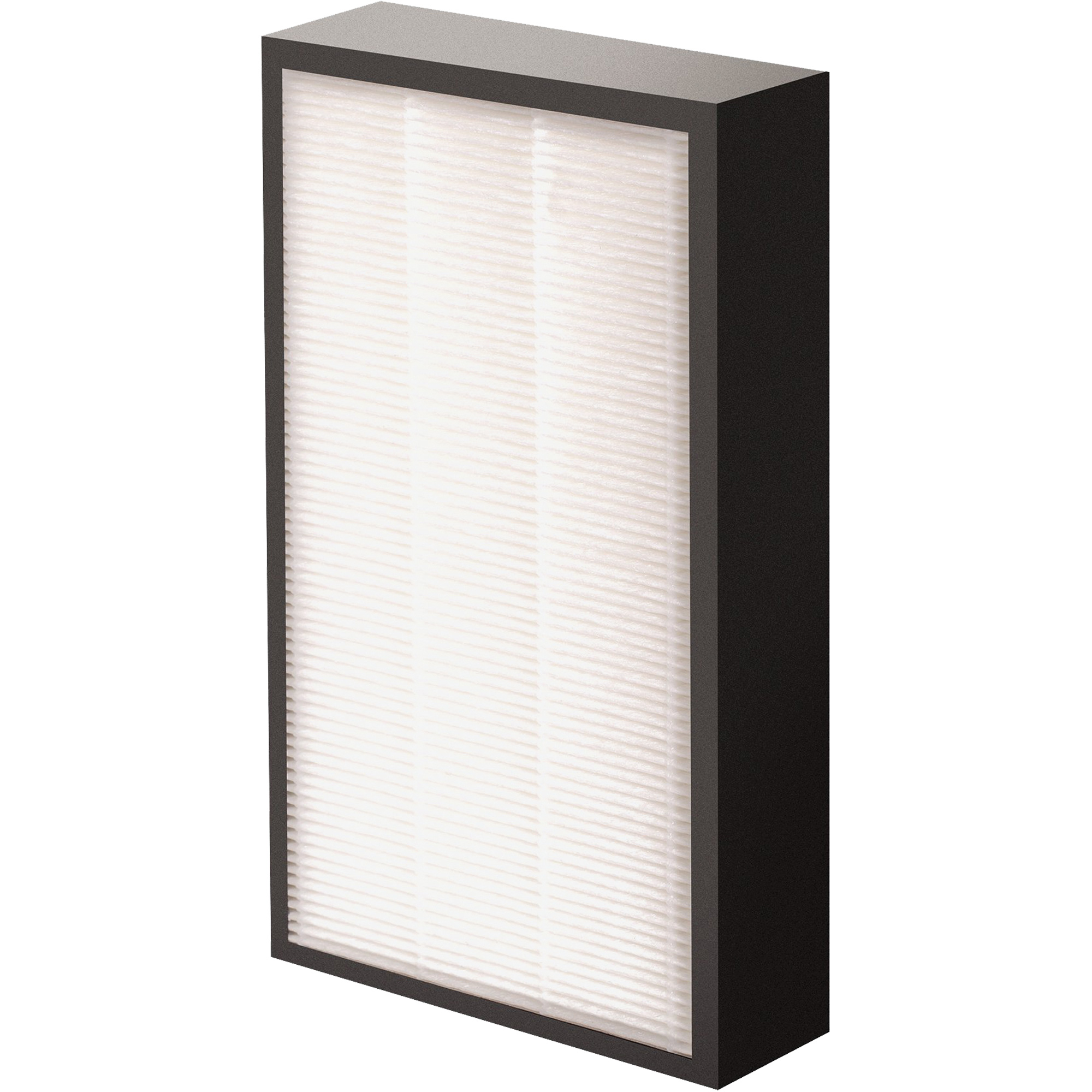 Véritables filtre HEPA AeraMaxMD Pro AM2 1-3/4", Boîte, 7,38" la x 1,88" p x 12,88" h