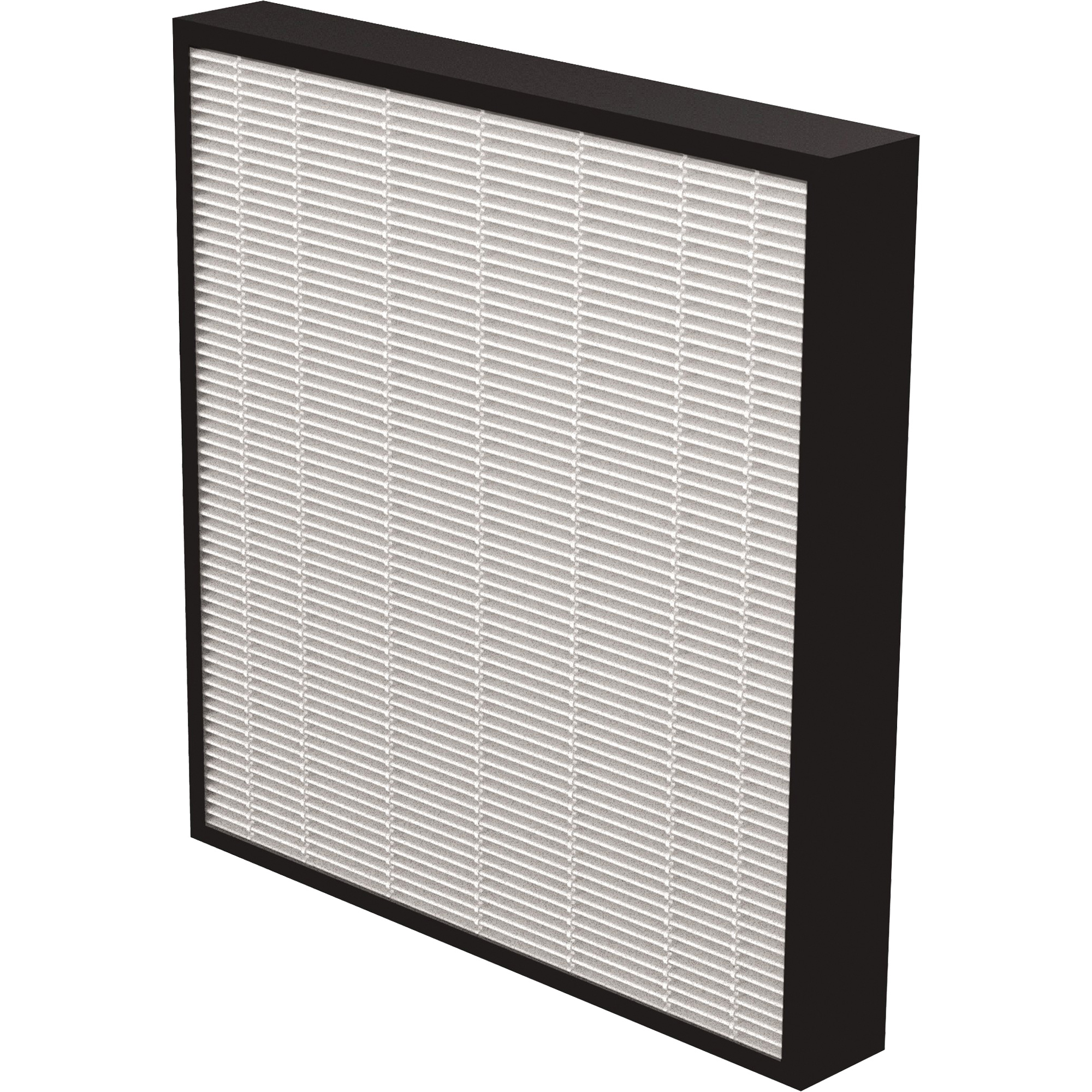Véritables filtres HEPA AeraMaxMD Pro AM3 & AM4 2", Boîte, 13,75" la x 2,25" p x 14,38" h