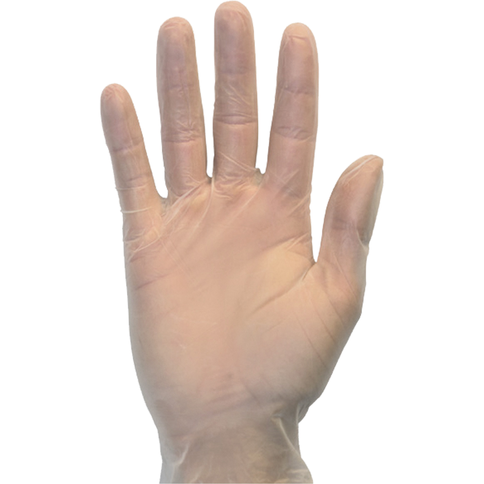 Gants jetables, T-Grand, Vinyle, 3 mils, Sans poudre, Transparent