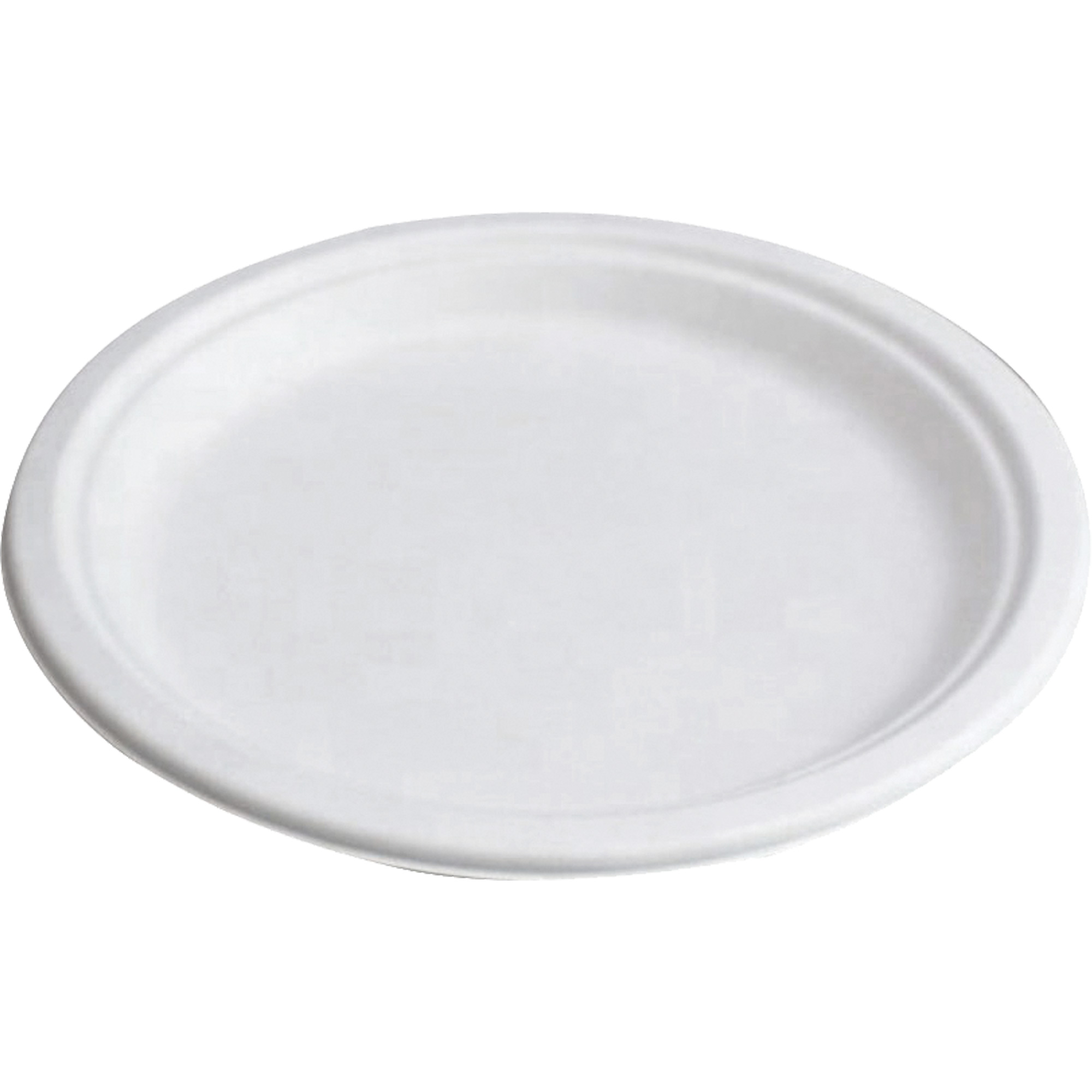 Assiettes compostables