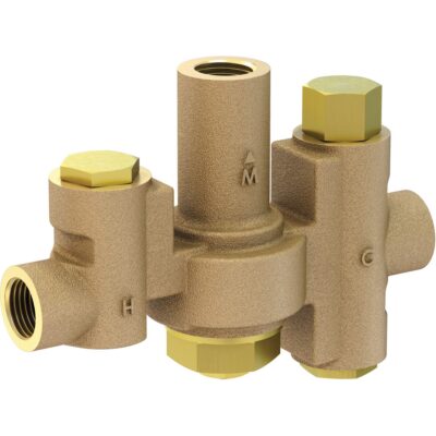 Vanne mélangeuse thermostatique de faible capacité pour les stations individuelles de douche oculaire/faciale, 2 - 35,1 gal./min
