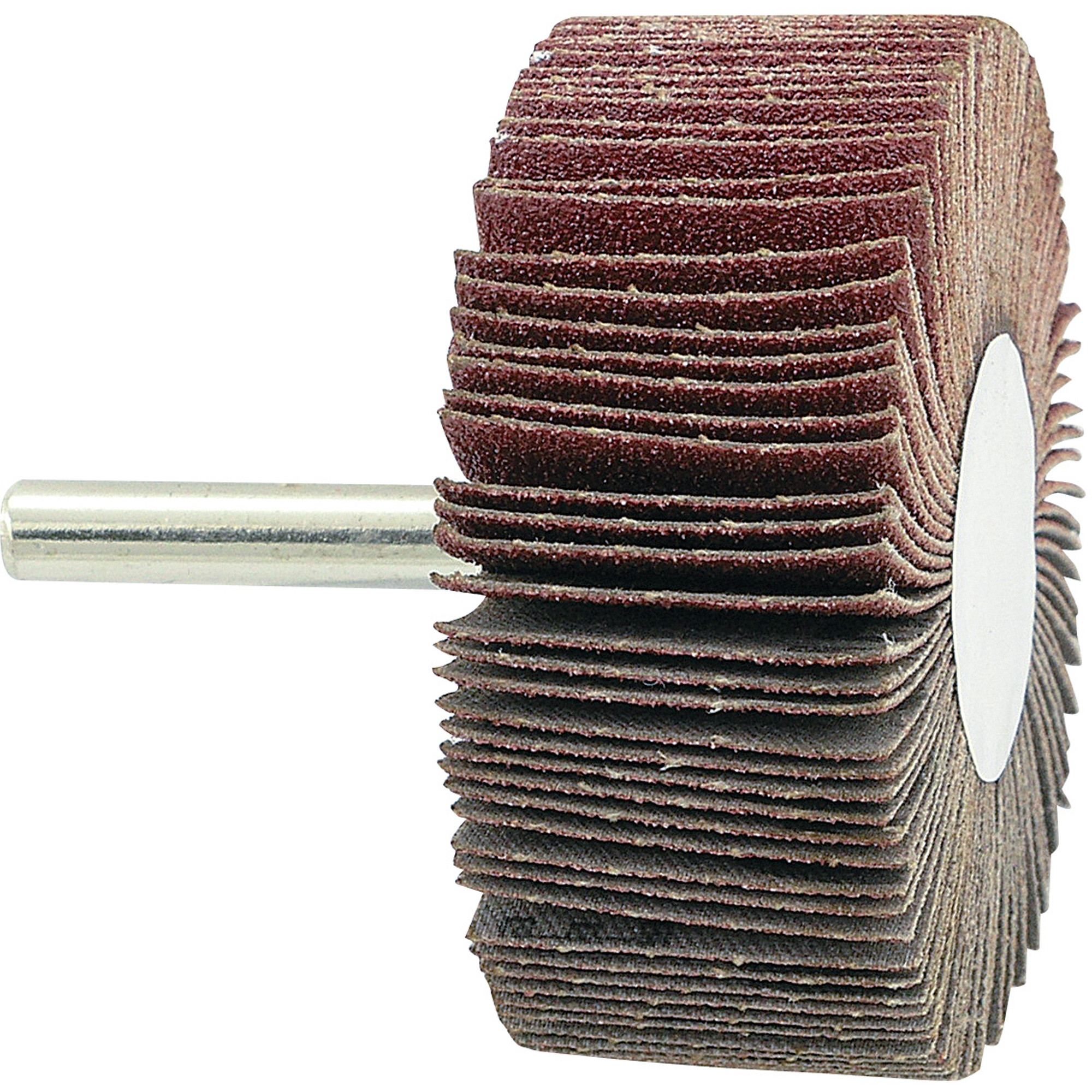 Disque à lamelles monté, Grain 80, 2-1/2" x 1" x 1/4"