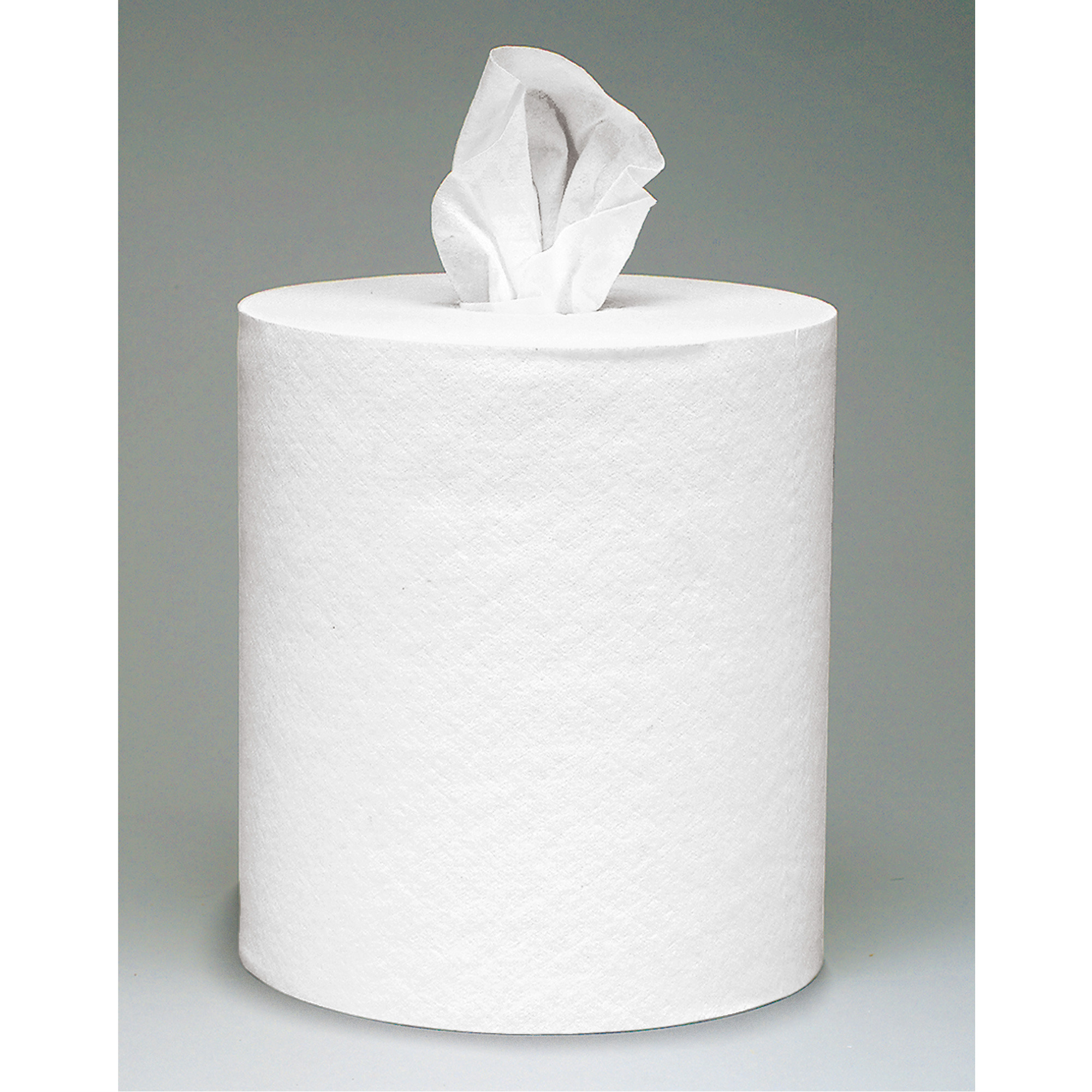 Chiffons L30, Tout usage, 9-4/5" lo x 15-1/5" la