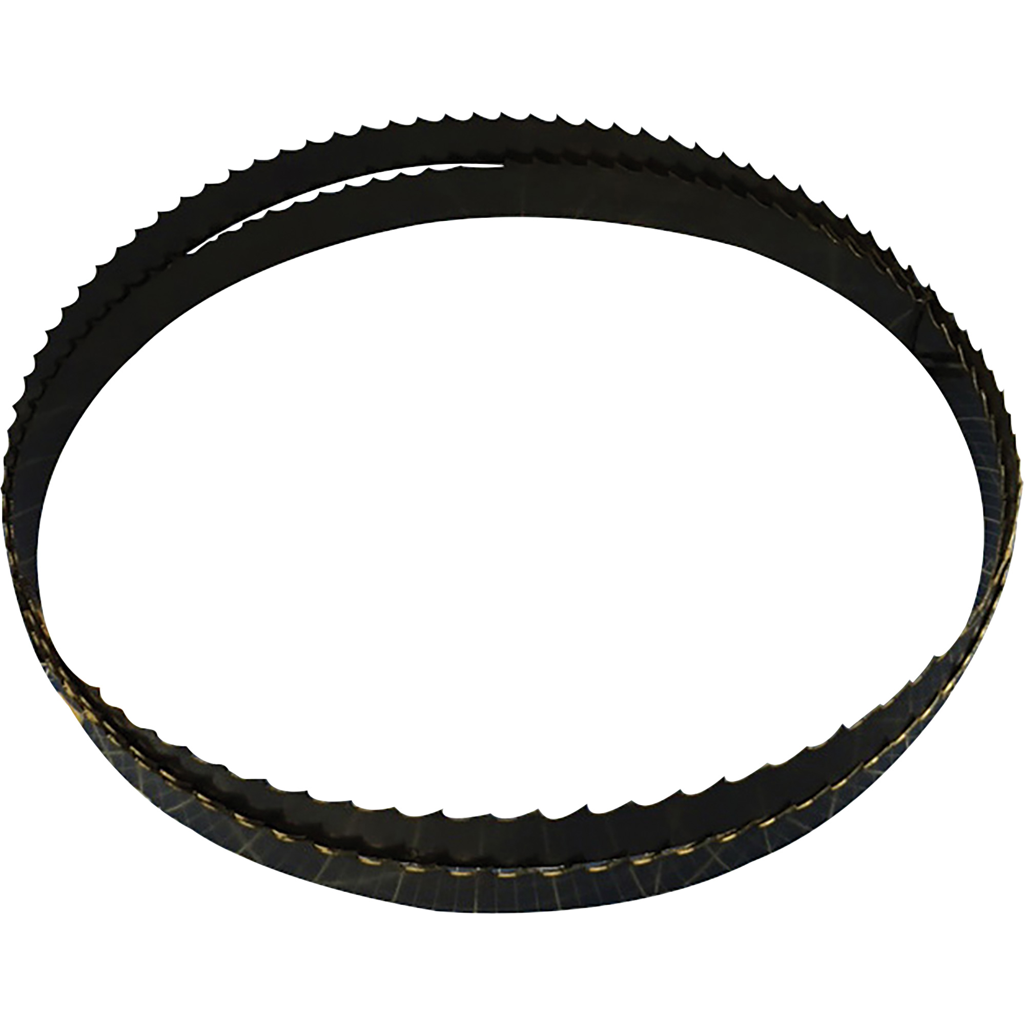 Lame de scie à ruban pour la coupe du bois, 103" lo x 1/4" la x Épaisseur 0,025", 6 dents par pouce