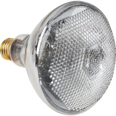 Lampes à incandescence économiques