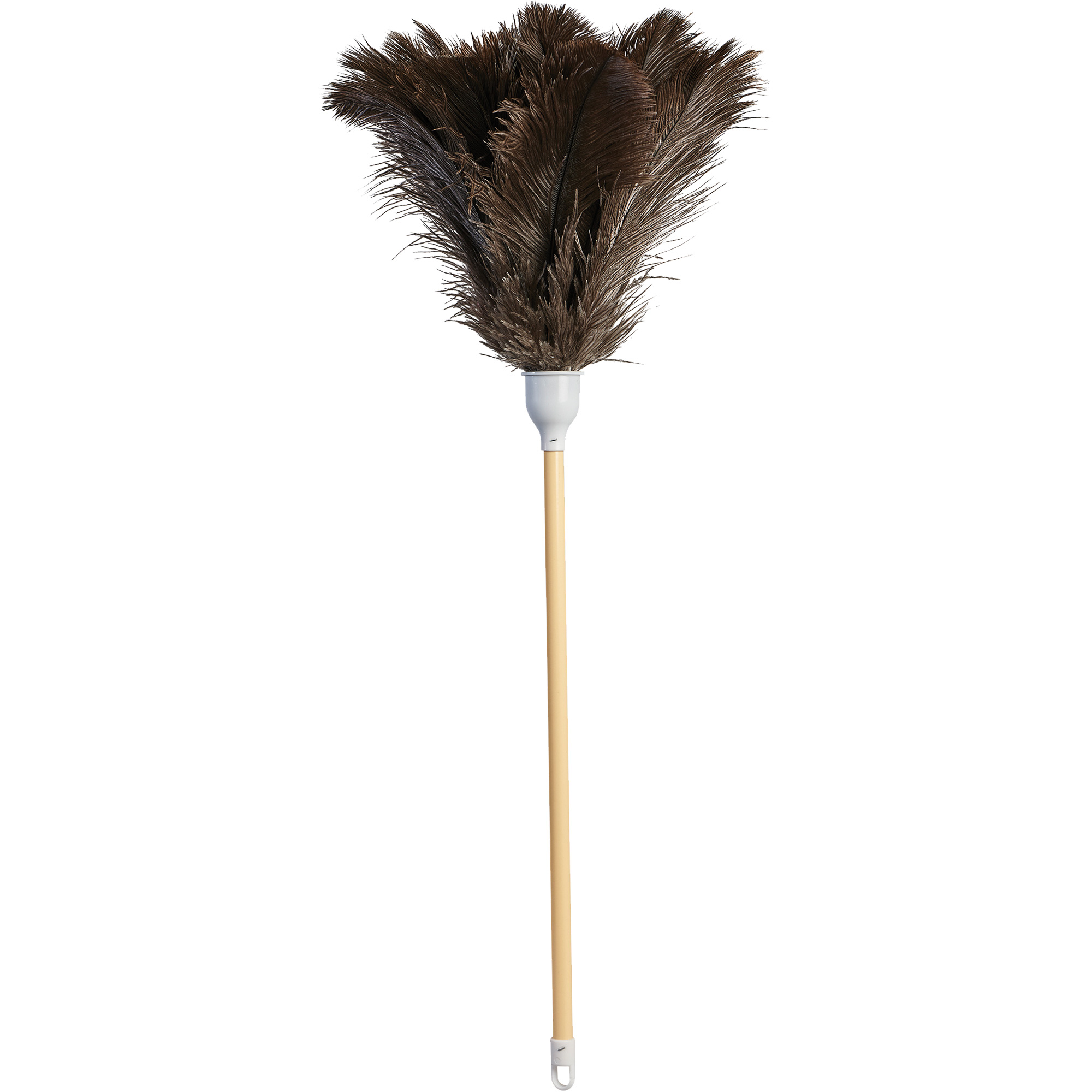 Plumeau de qualité supérieure, Plume d'autruche