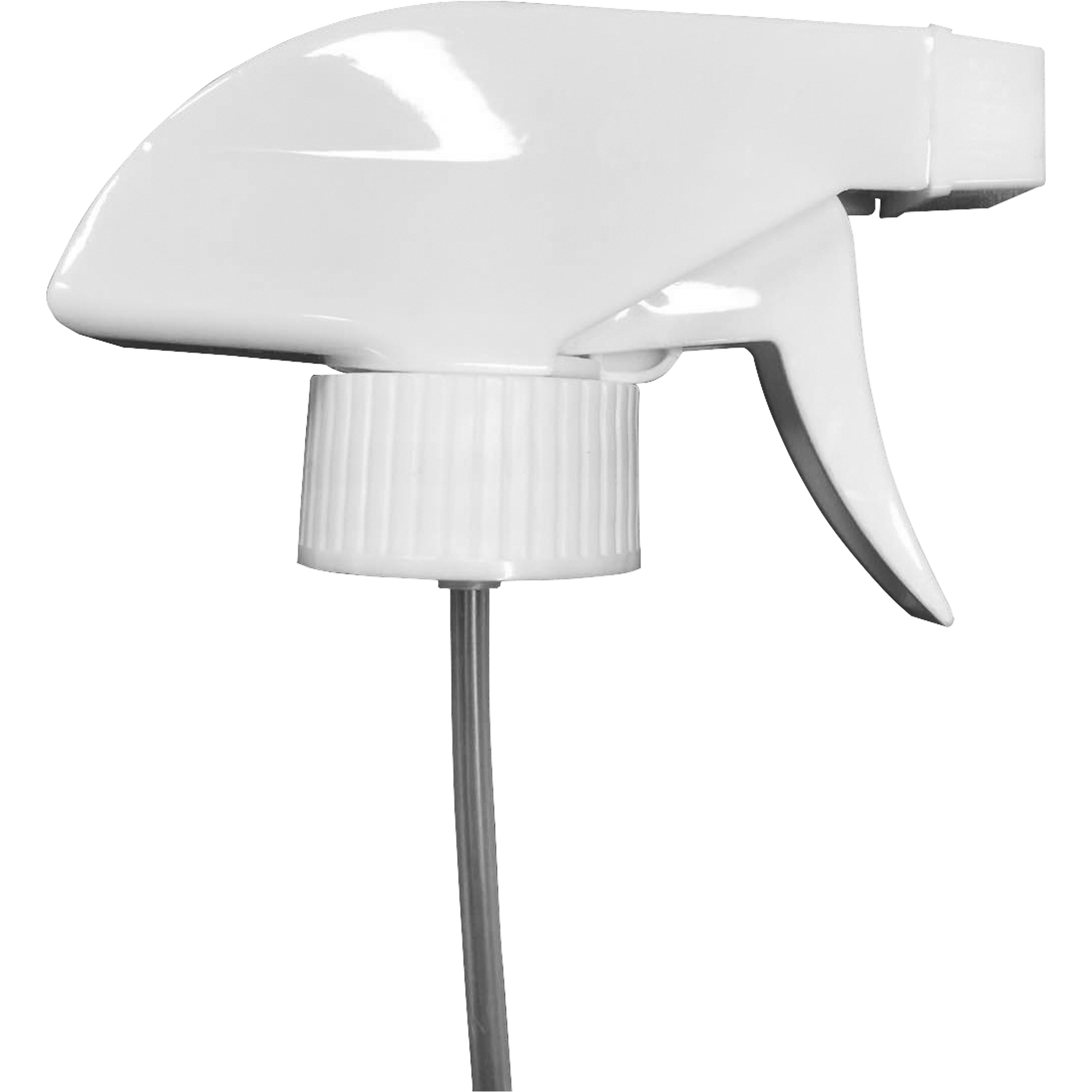 Pulvérisateur à gâchette à usage domestique, Longueur du tube 9,5"