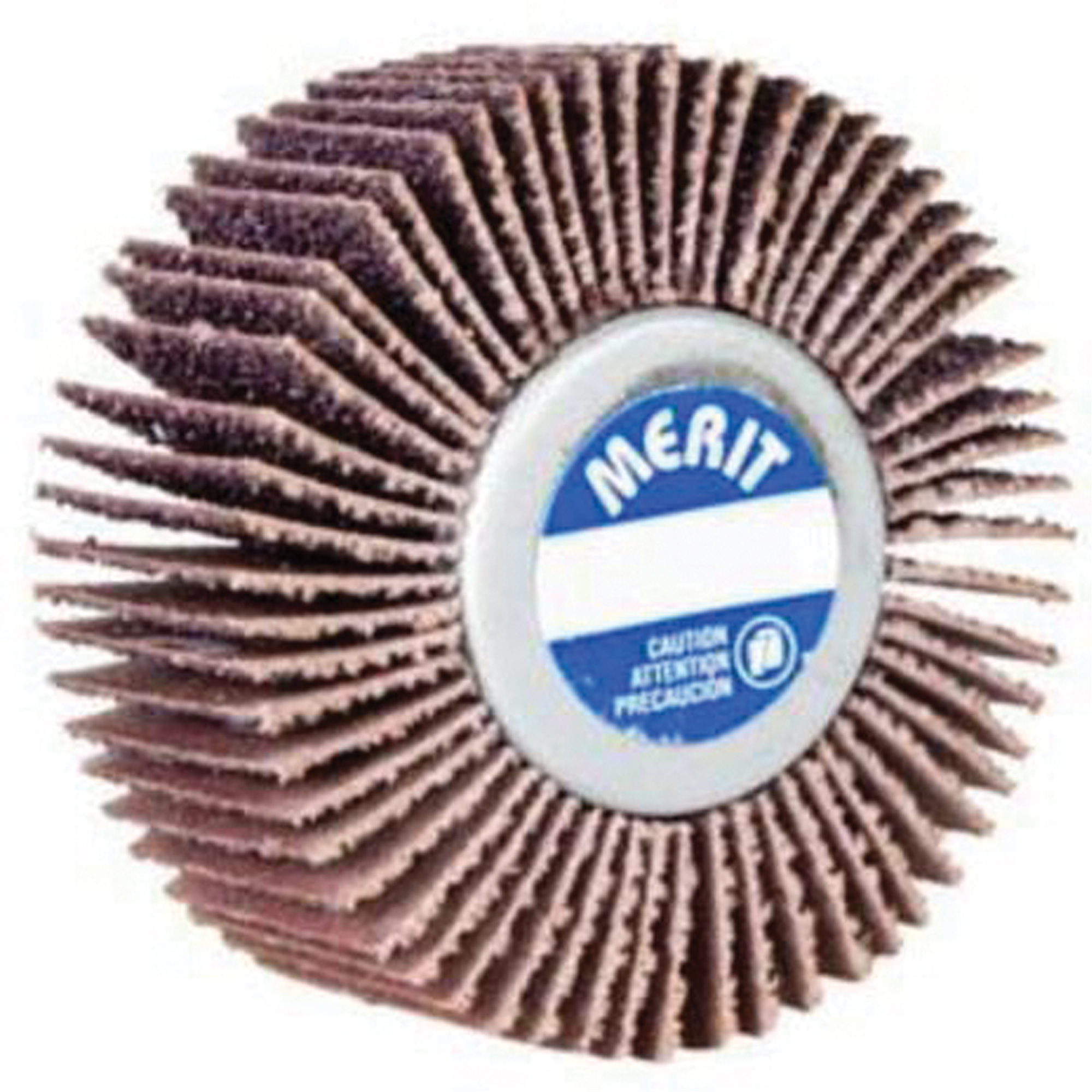Mini-meule à lamelles à changement rapide Grind-O-FlexMC, Céramique d'alumine, Grain 40, 3" x 1" x 1/4"-20