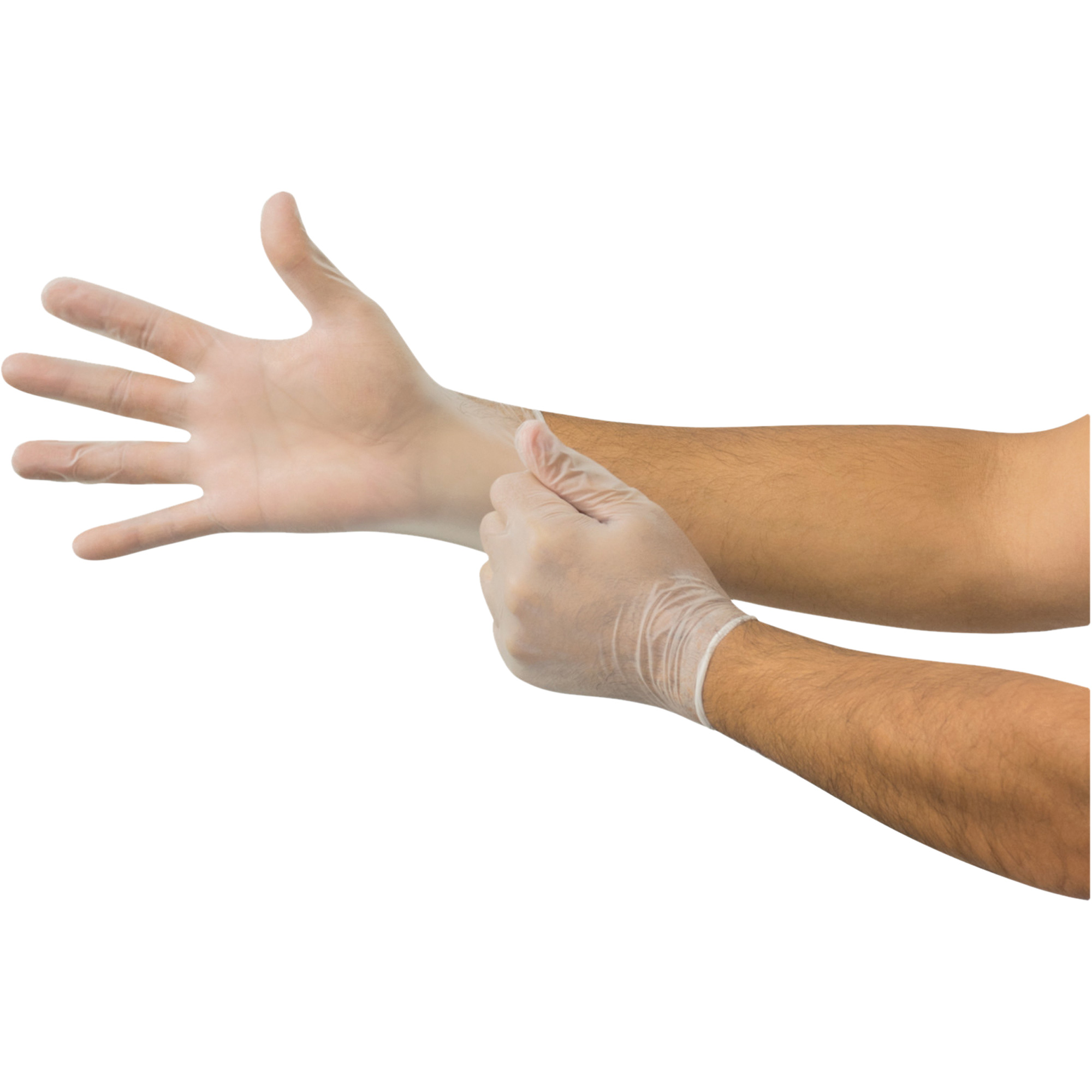 Gants jetables MicroFlexMD, Moyen, Vinyle, 2,8 mil, Sans poudre, Transparent