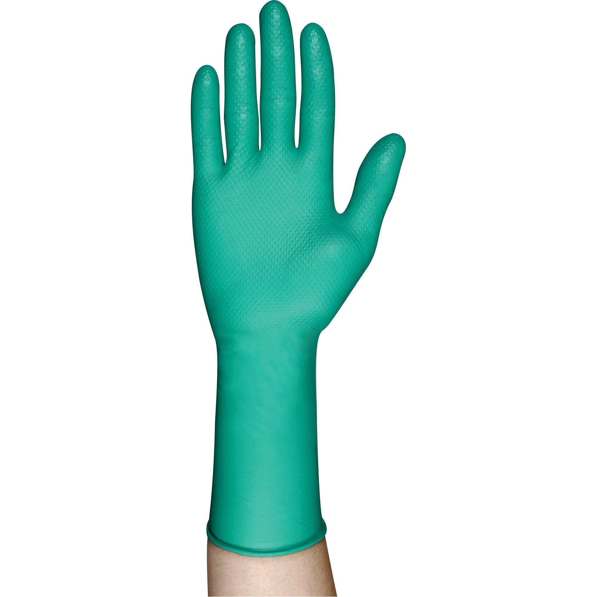 Gants jetables série 93-287, Petit, Nitrile, 8,7 mils, Sans poudre, Vert