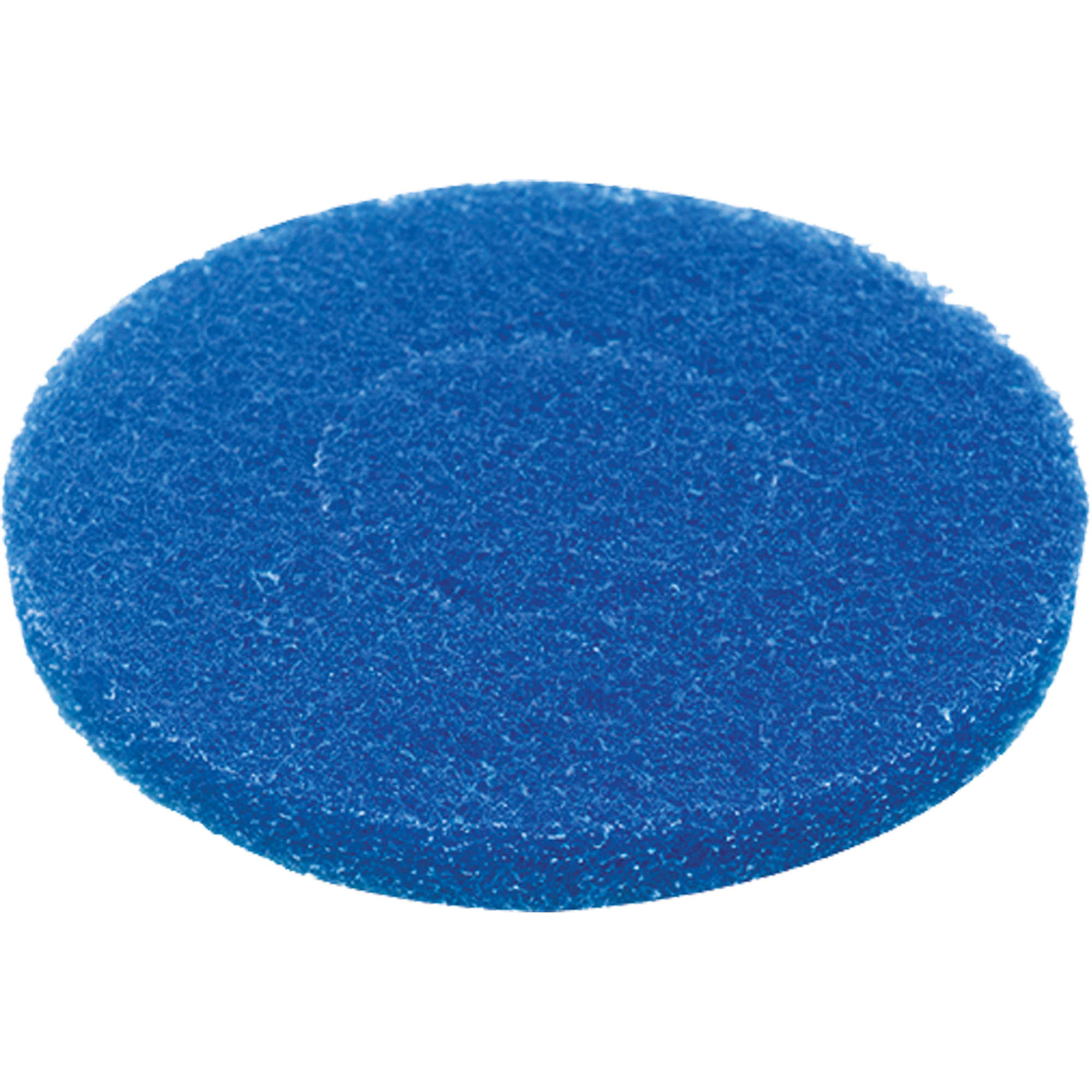 Tampon pour plancher, Nettoyage, Bleu