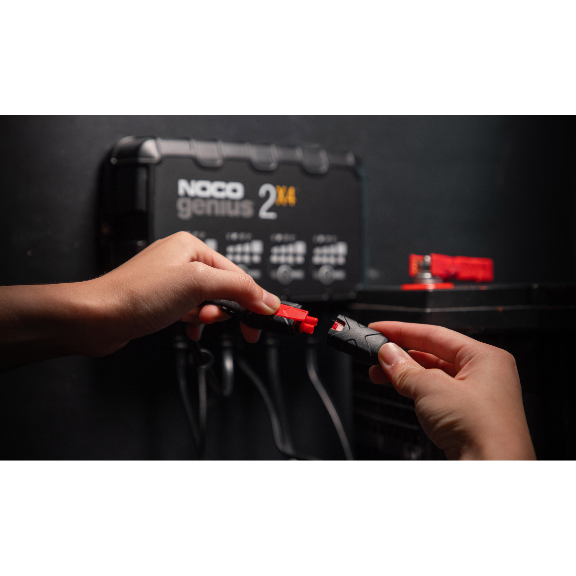 Chargeur de batterie 4 sorties de 8 A GeniusMD 2X4MC – Image 7