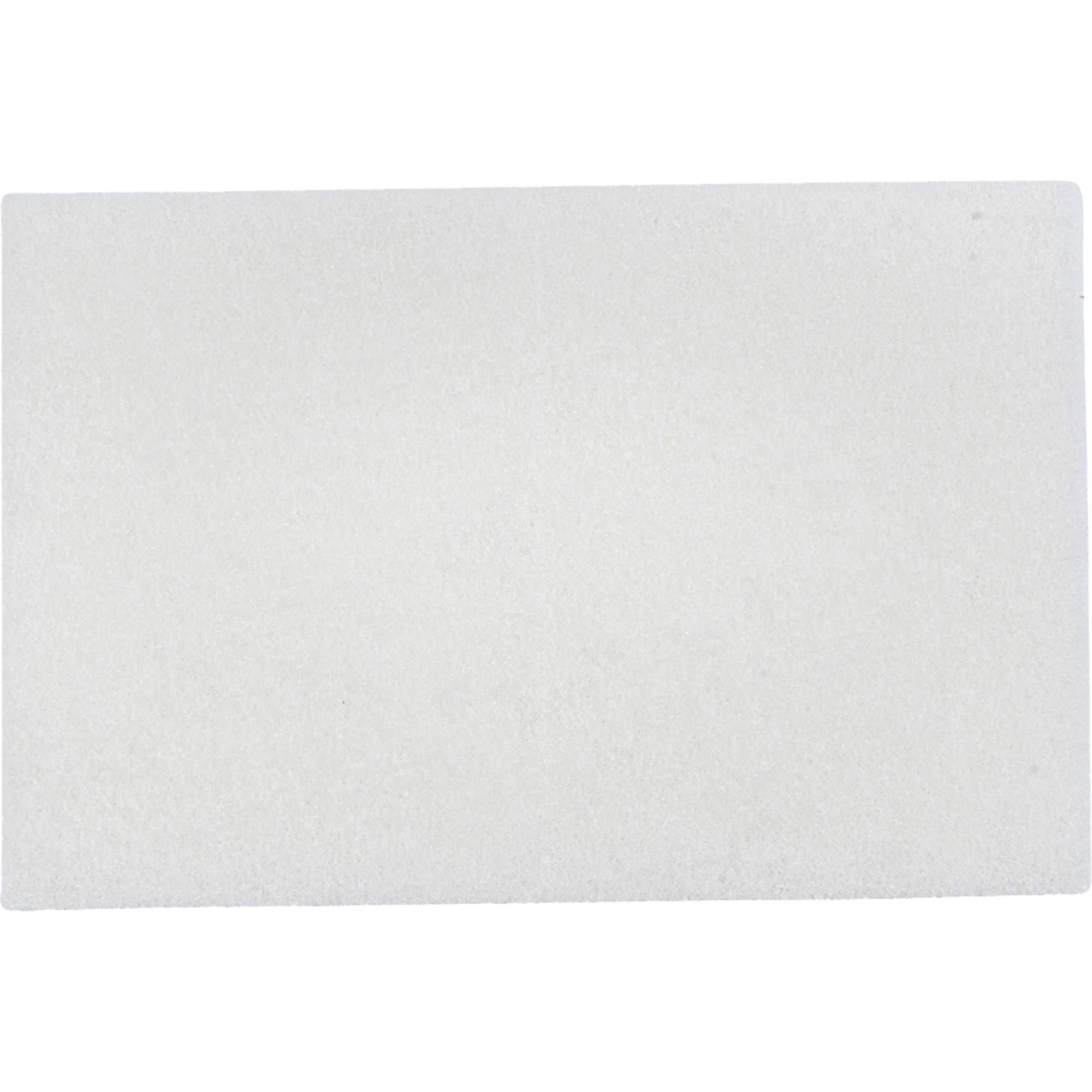 Tampons manuels Bear-Tex, Non abrasif, 9" x 6"