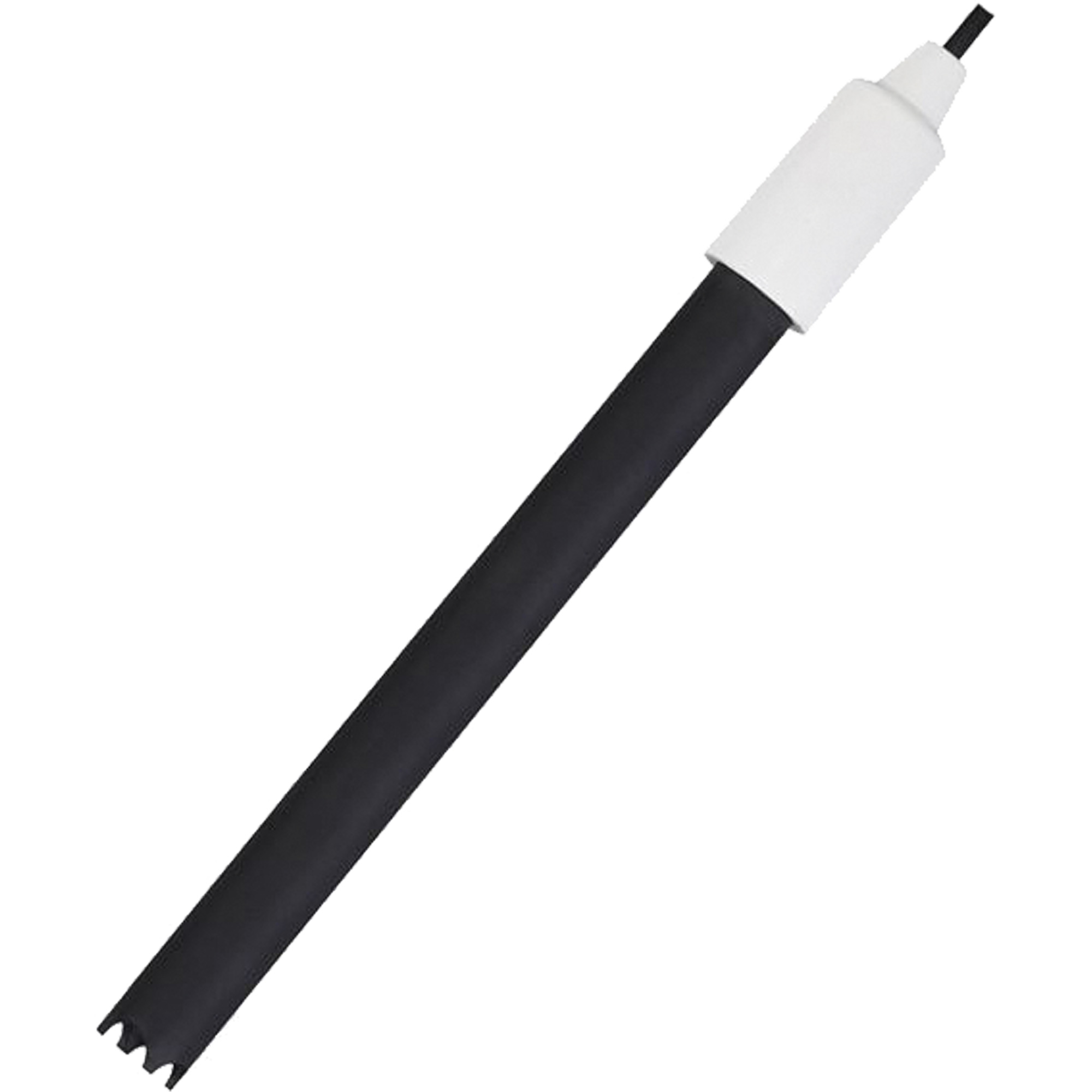 Électrode pour appareil de mesure de l'oxygène dissous Starter, 1,2 cm " lo